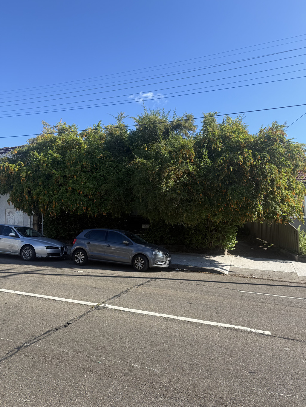 300 Old Canterbury Road, Ashfield NSW 36015782