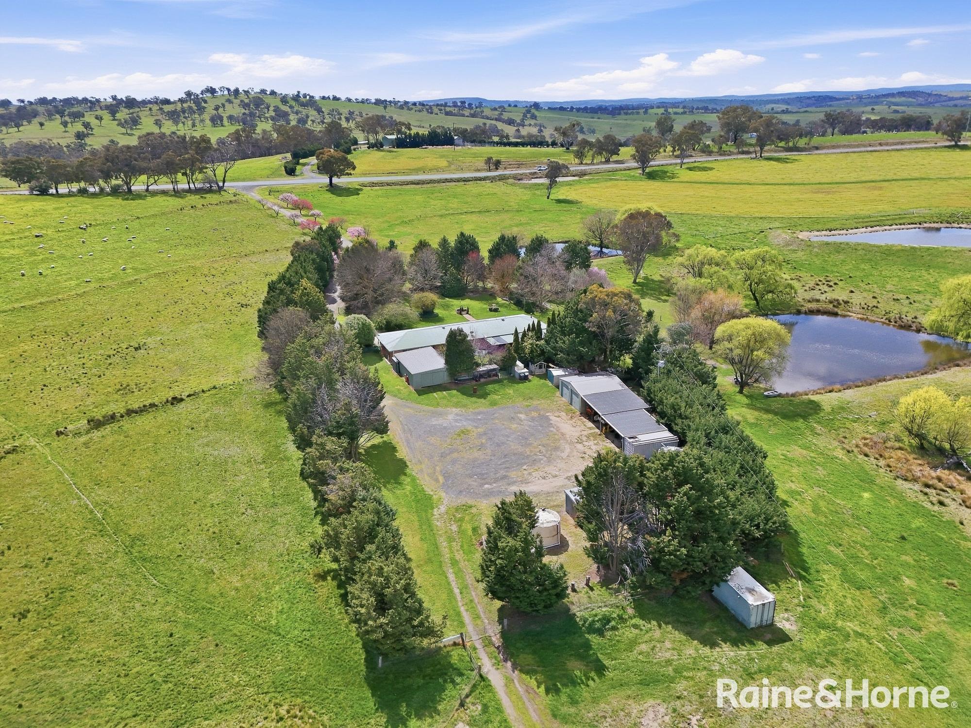 1557 Mid Western Highway, Evans Plains For Sale by Farmbuy.com - image 20