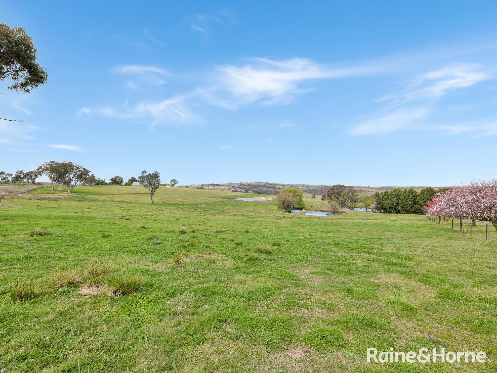 1557 Mid Western Highway, Evans Plains For Sale by Farmbuy.com - image 21