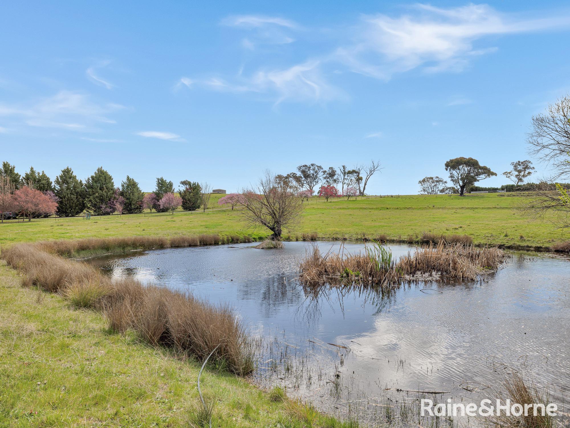 1557 Mid Western Highway, Evans Plains For Sale by Farmbuy.com - image 22