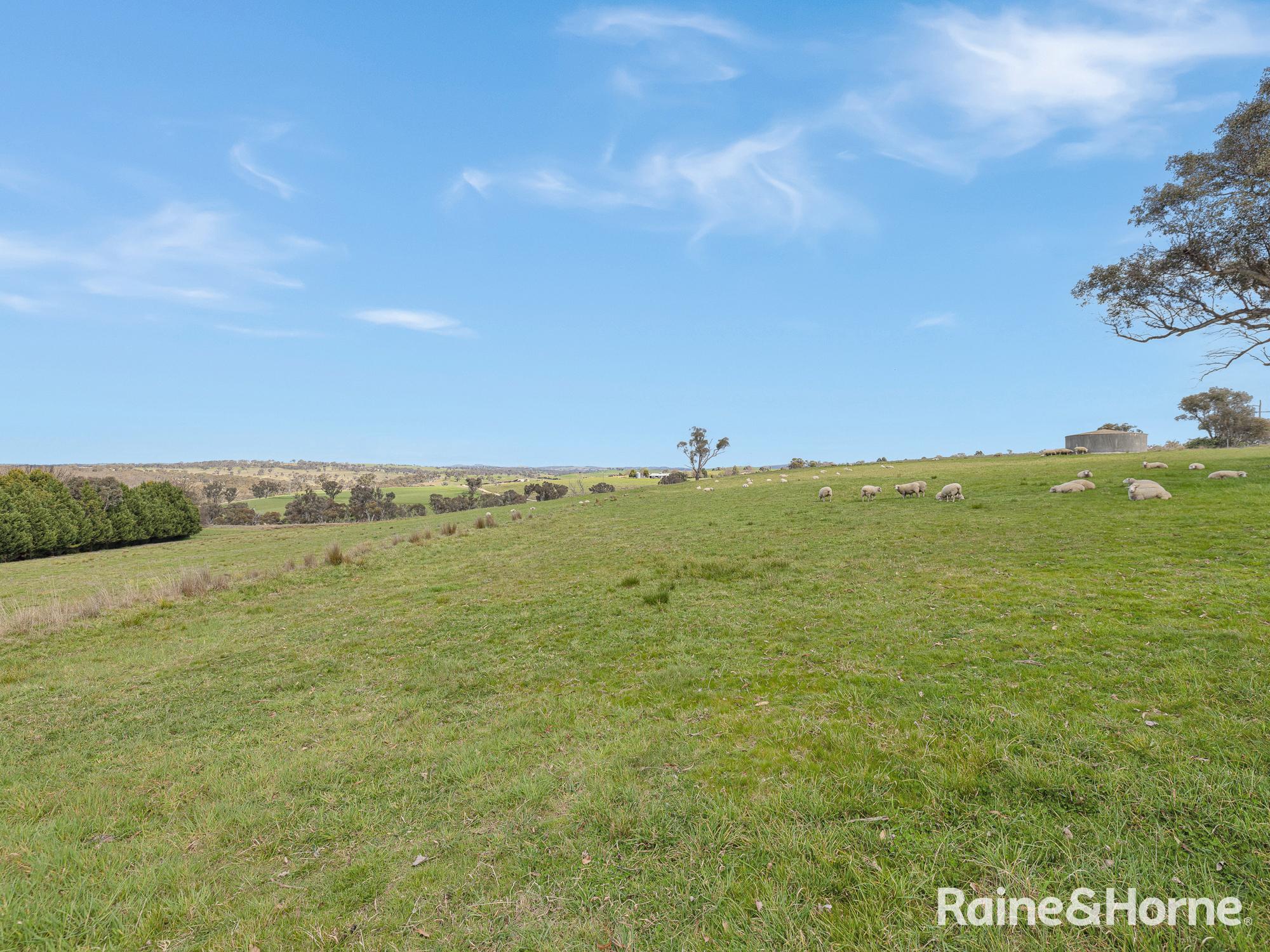 1557 Mid Western Highway, Evans Plains For Sale by Farmbuy.com - image 25