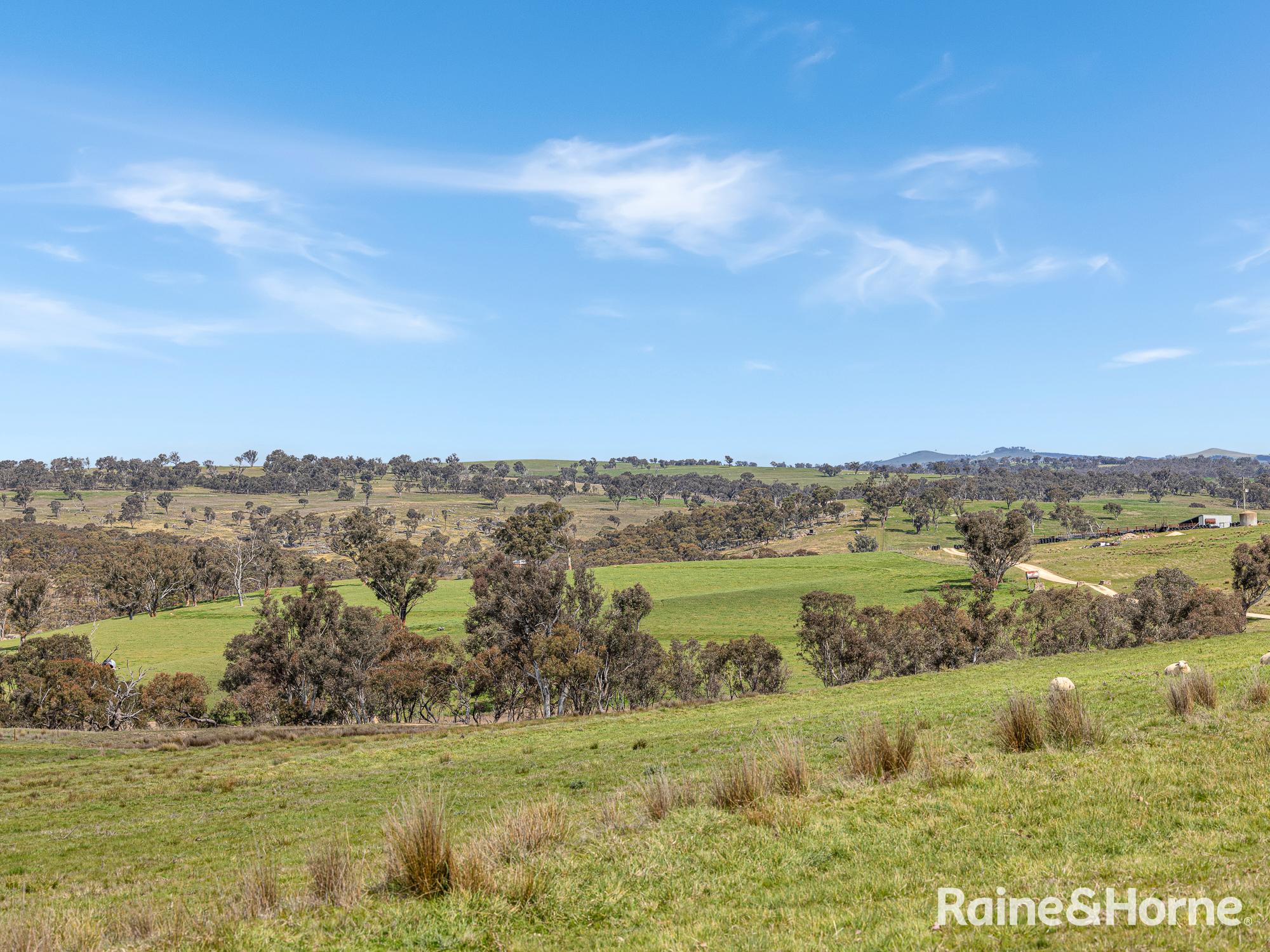 1557 Mid Western Highway, Evans Plains For Sale by Farmbuy.com - image 26