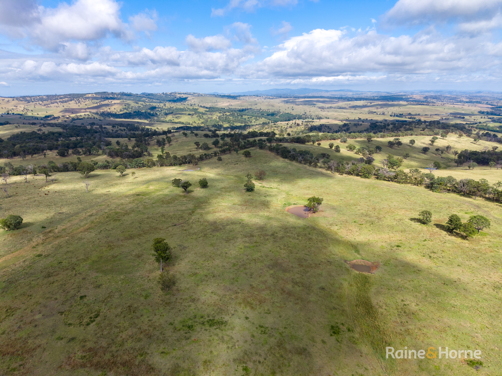733 Niangala Road, Woolbrook Auction by Farmbuy.com - image 8