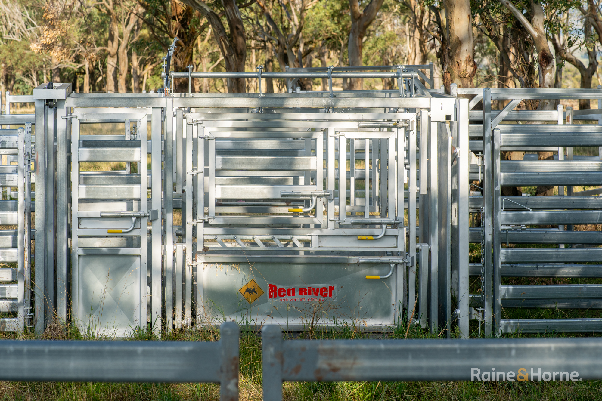 733 Niangala Road, Woolbrook Auction by Farmbuy.com - image 14