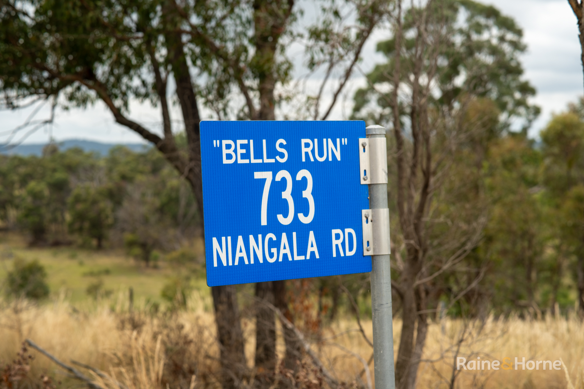 733 Niangala Road, Woolbrook Auction by Farmbuy.com - image 16