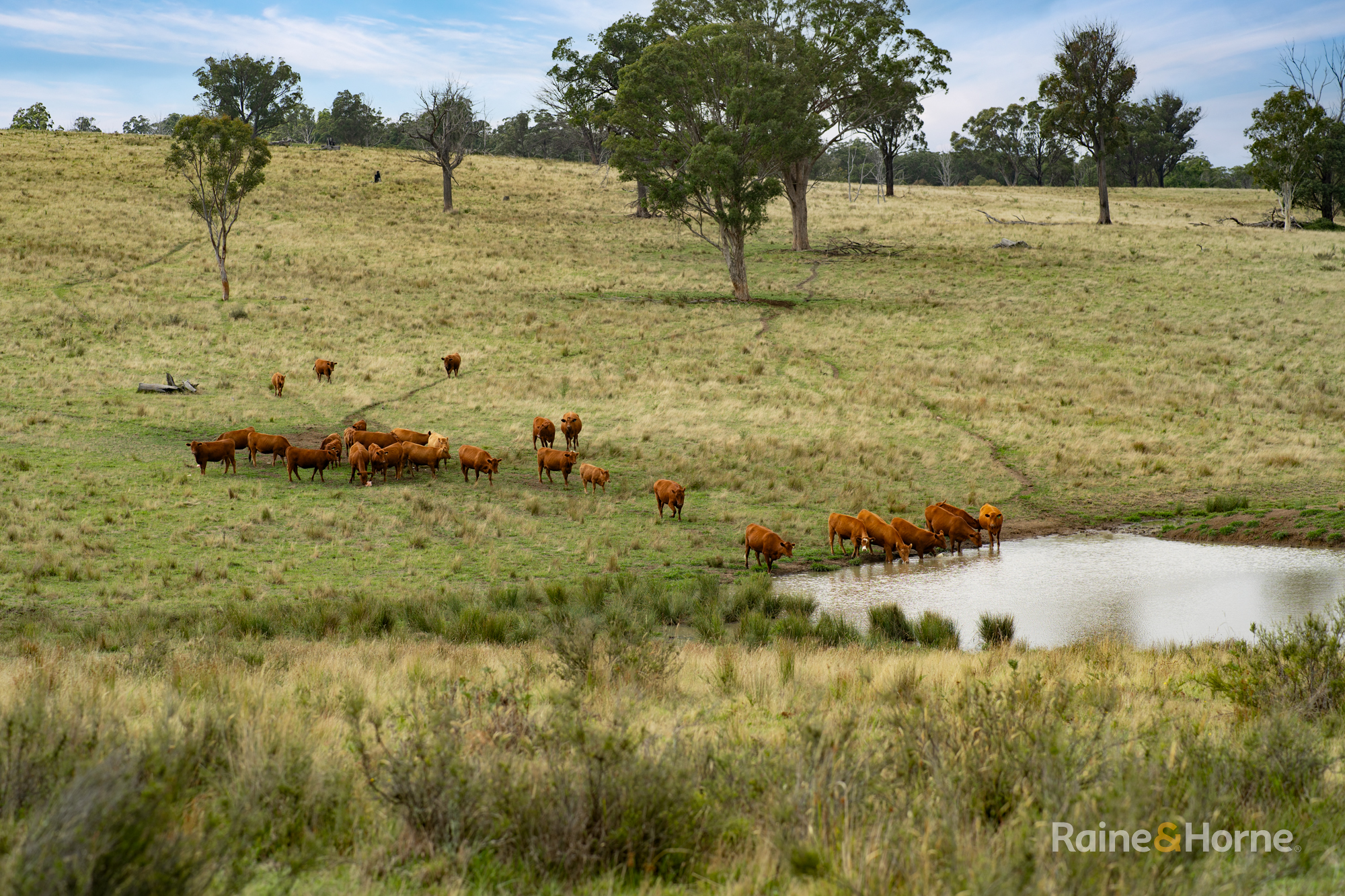 Farm Auction - NSW - Woolbrook - 2354 - 