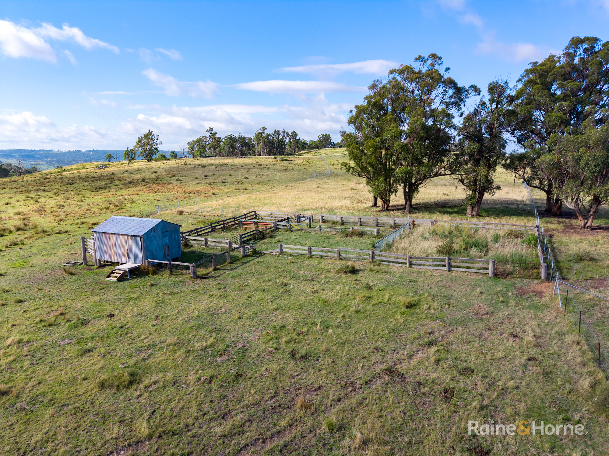 733 Niangala Road, Woolbrook Auction by Farmbuy.com - image 13