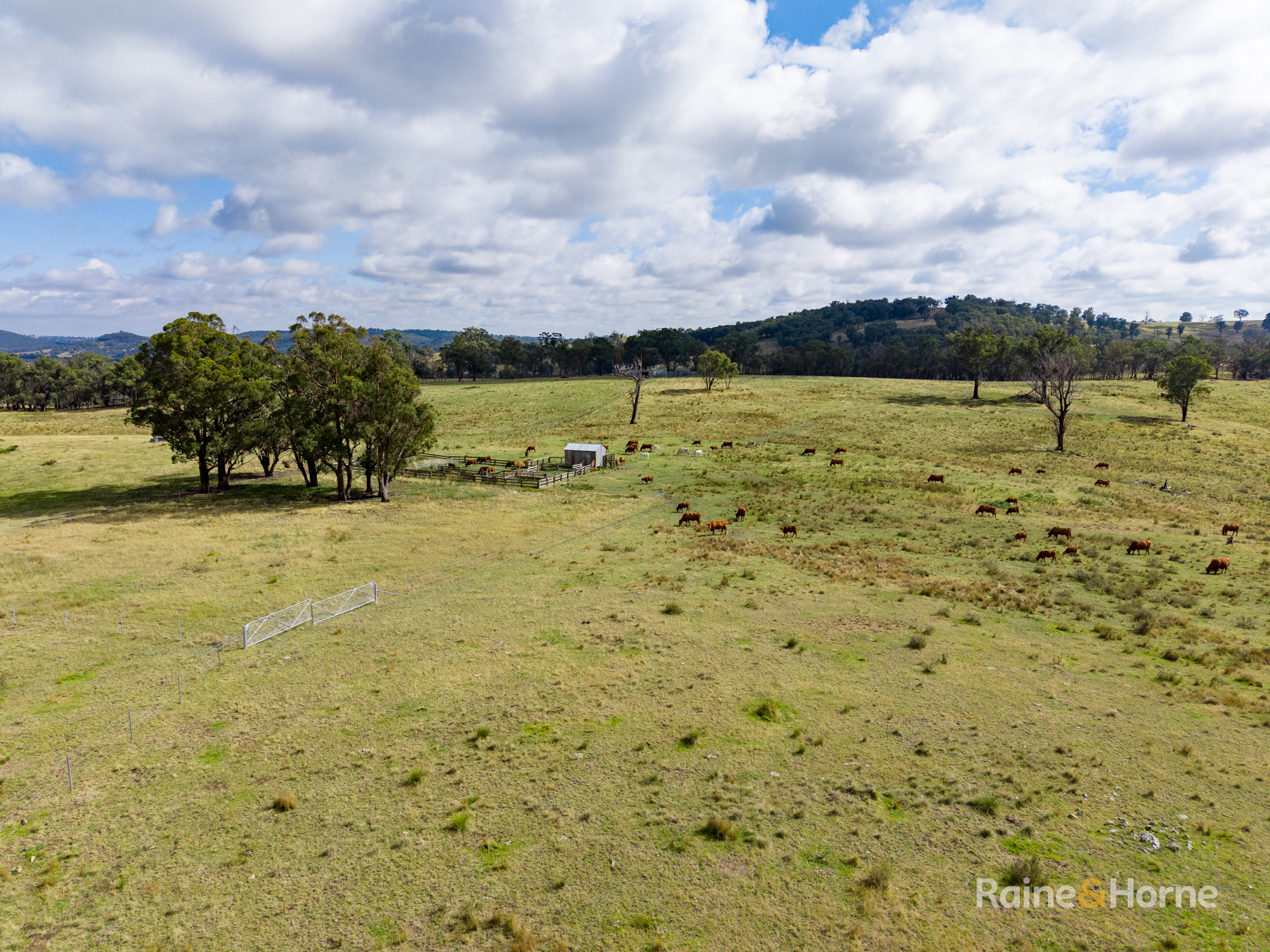 733 Niangala Road, Woolbrook Auction by Farmbuy.com - image 7