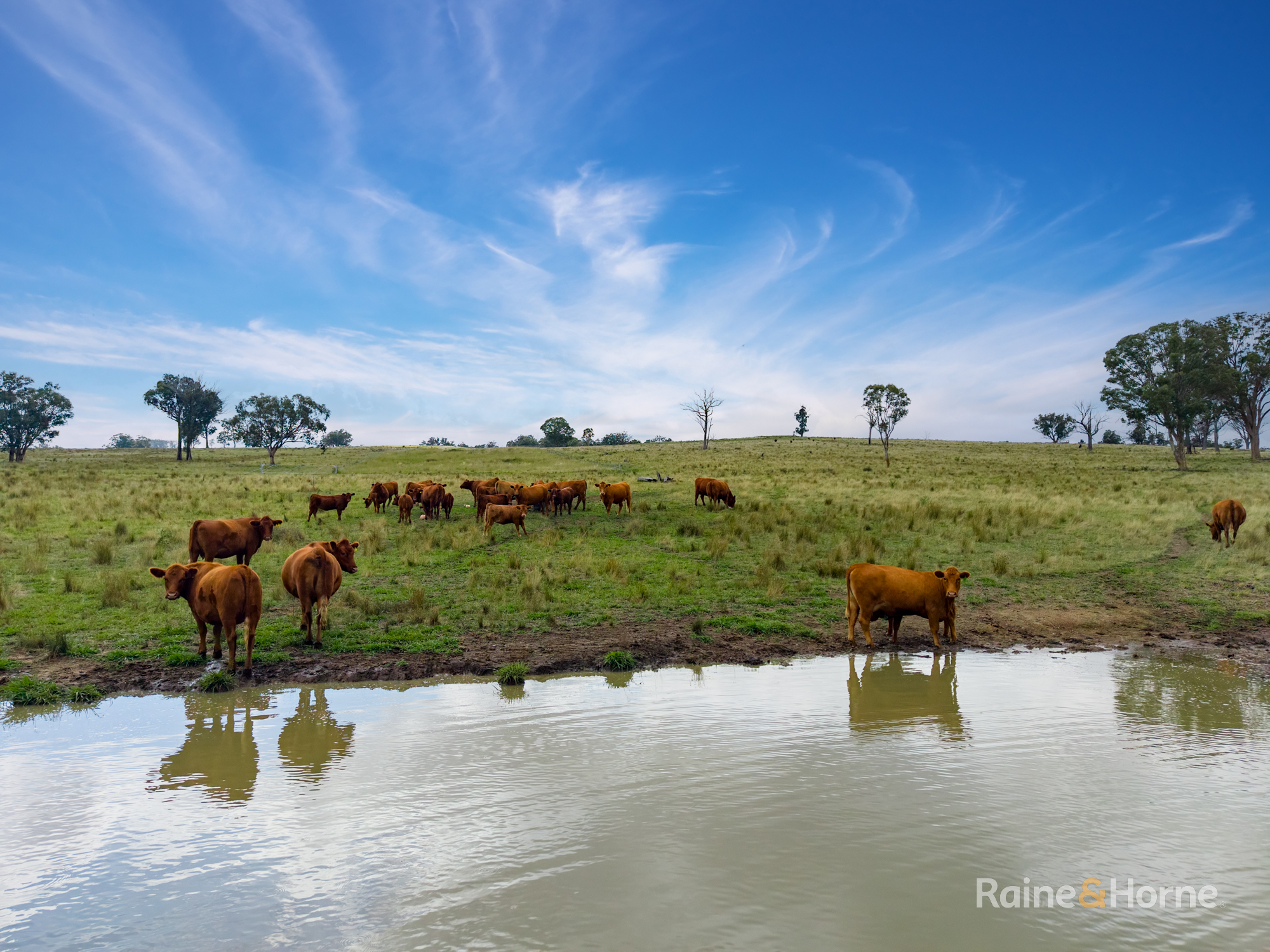 733 Niangala Road, Woolbrook Auction by Farmbuy.com - image 11