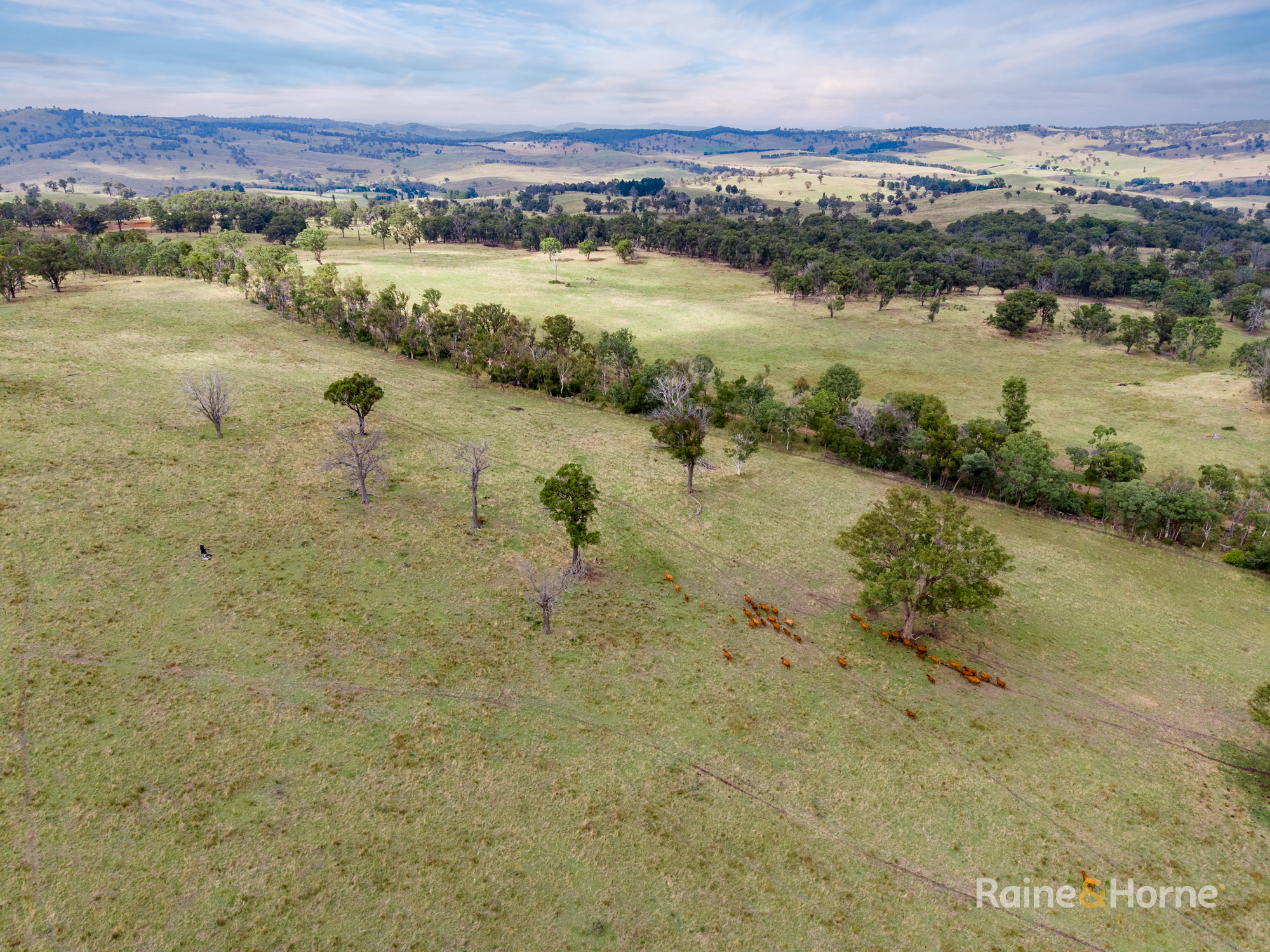 733 Niangala Road, Woolbrook Auction by Farmbuy.com - image 10