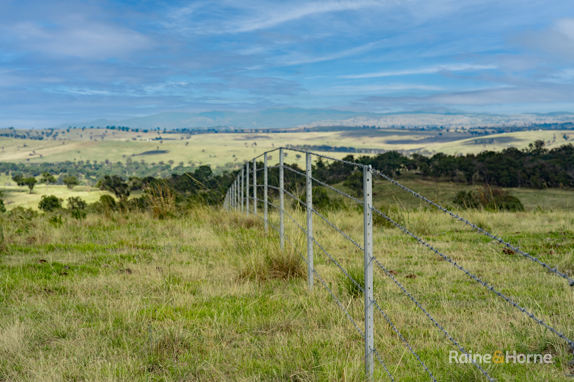 733 Niangala Road, Woolbrook Auction by Farmbuy.com - image 5