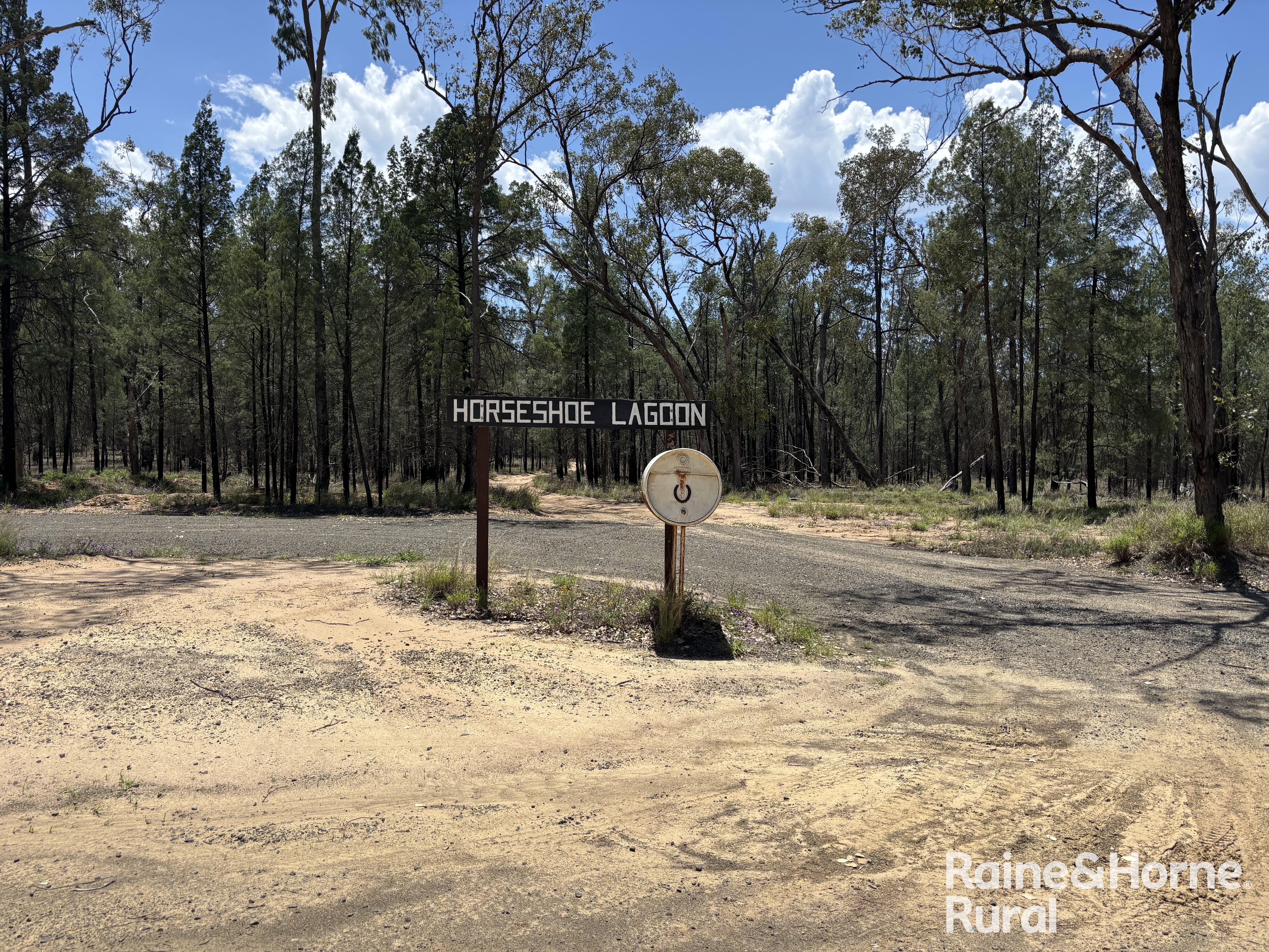 3520 Orallo Road, Roma For Sale by Farmbuy.com - image 2