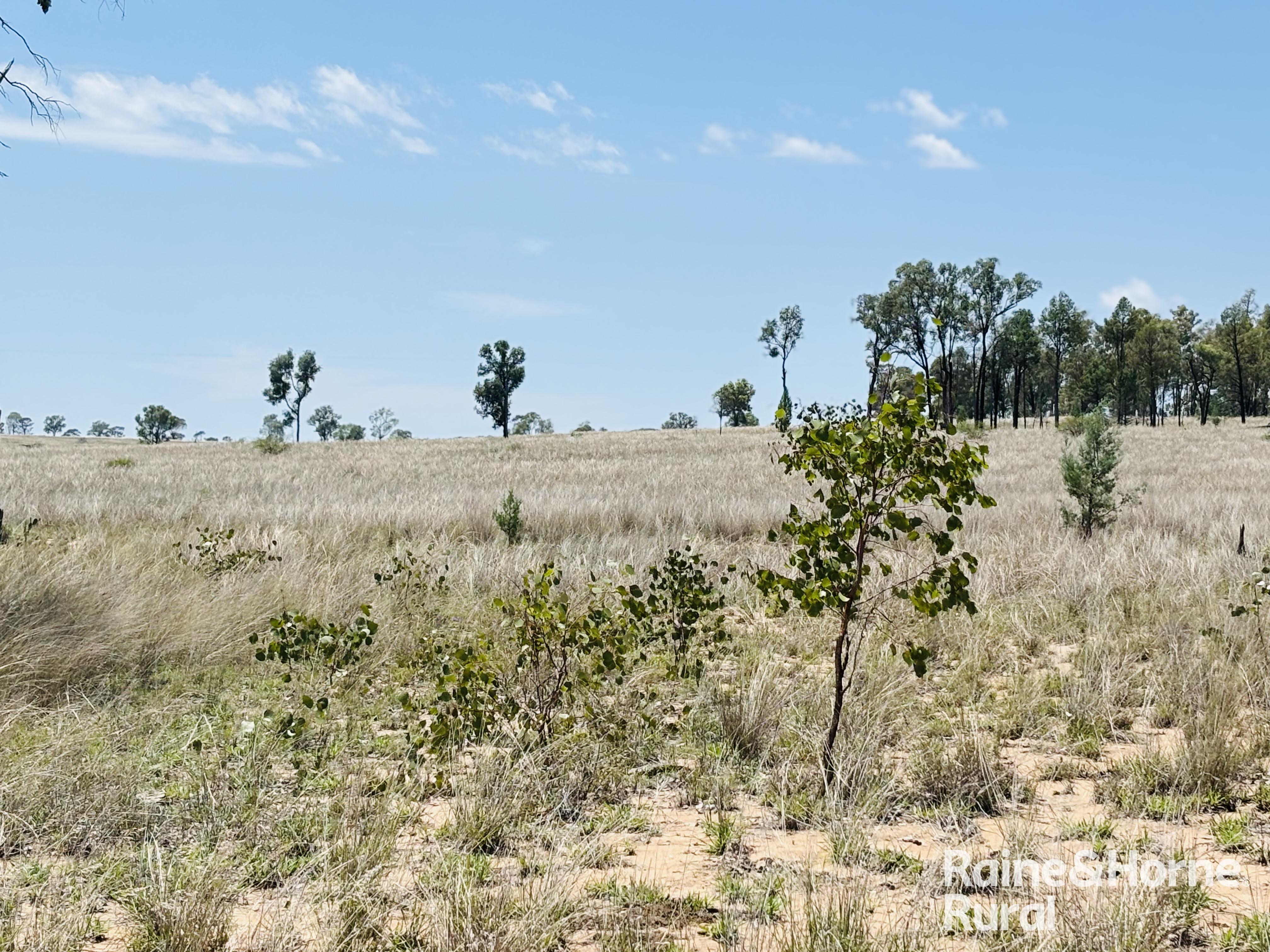 3520 Orallo Road, Roma For Sale by Farmbuy.com - image 5