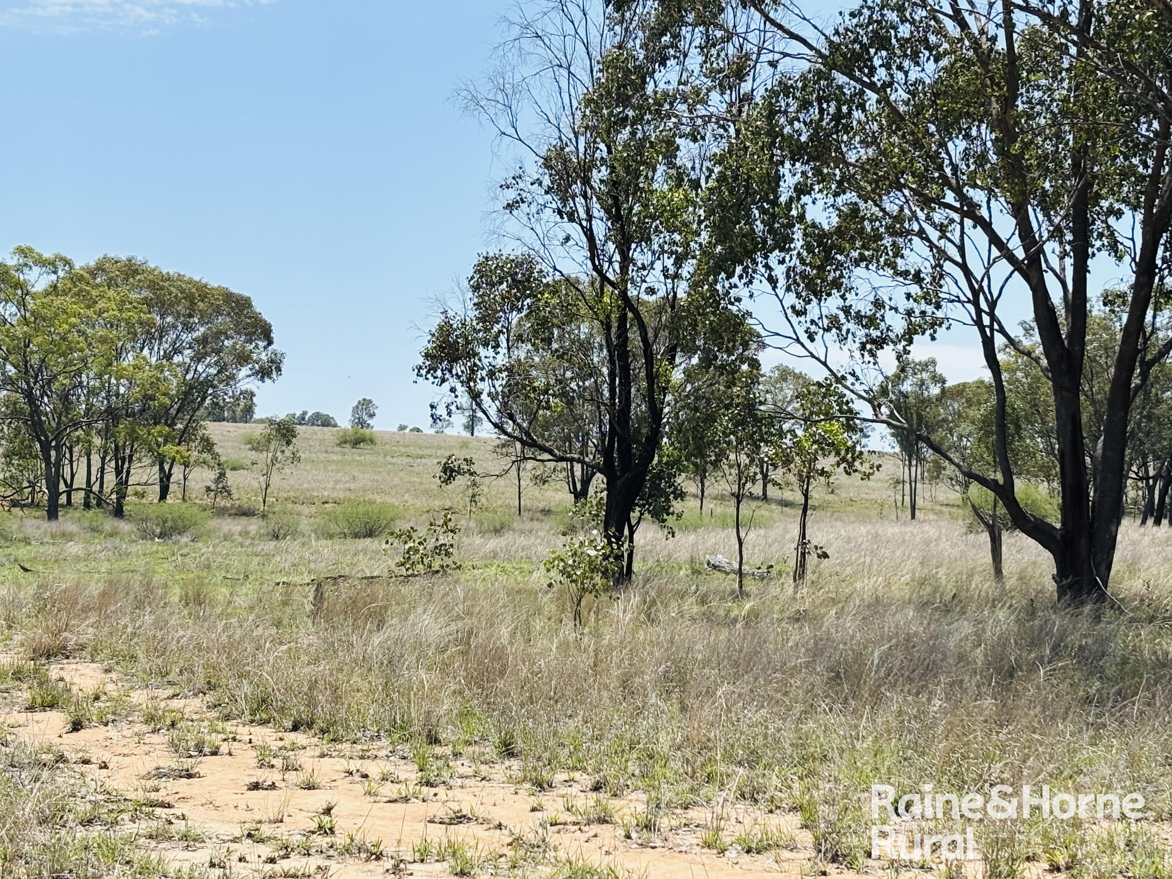 3520 Orallo Road, Roma For Sale by Farmbuy.com - image 6