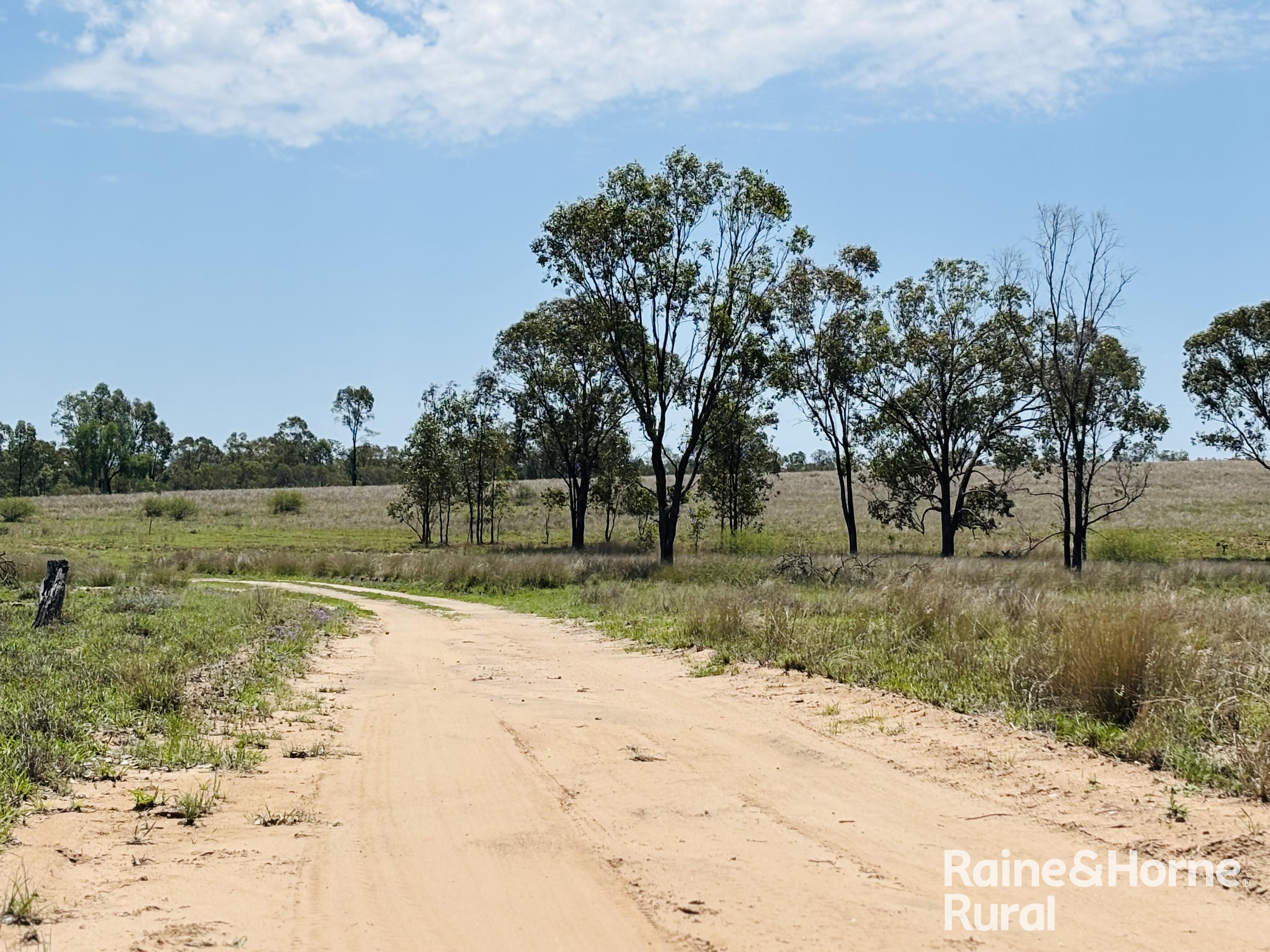 3520 Orallo Road, Roma For Sale by Farmbuy.com - image 7