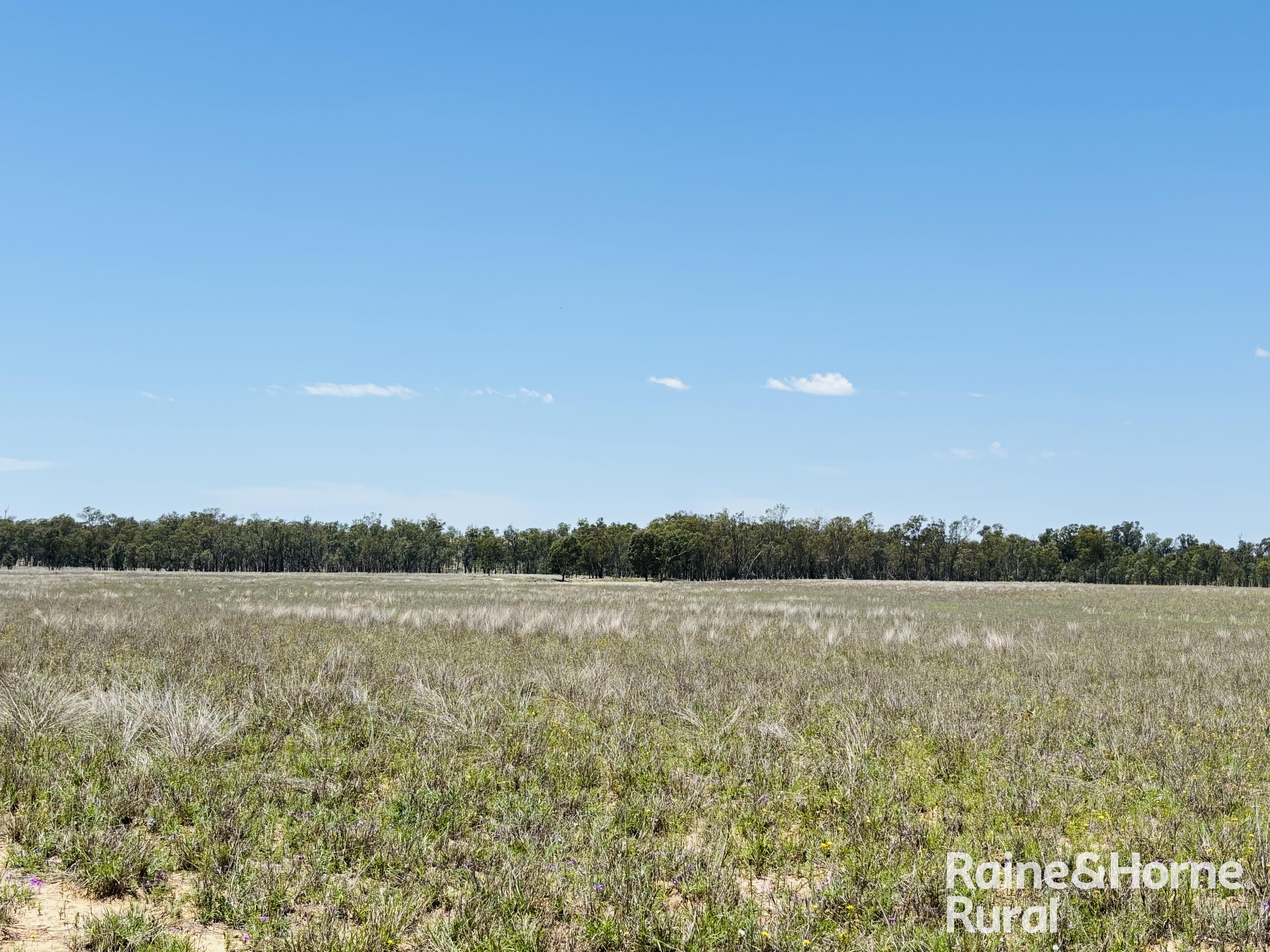 3520 Orallo Road, Roma For Sale by Farmbuy.com - image 8