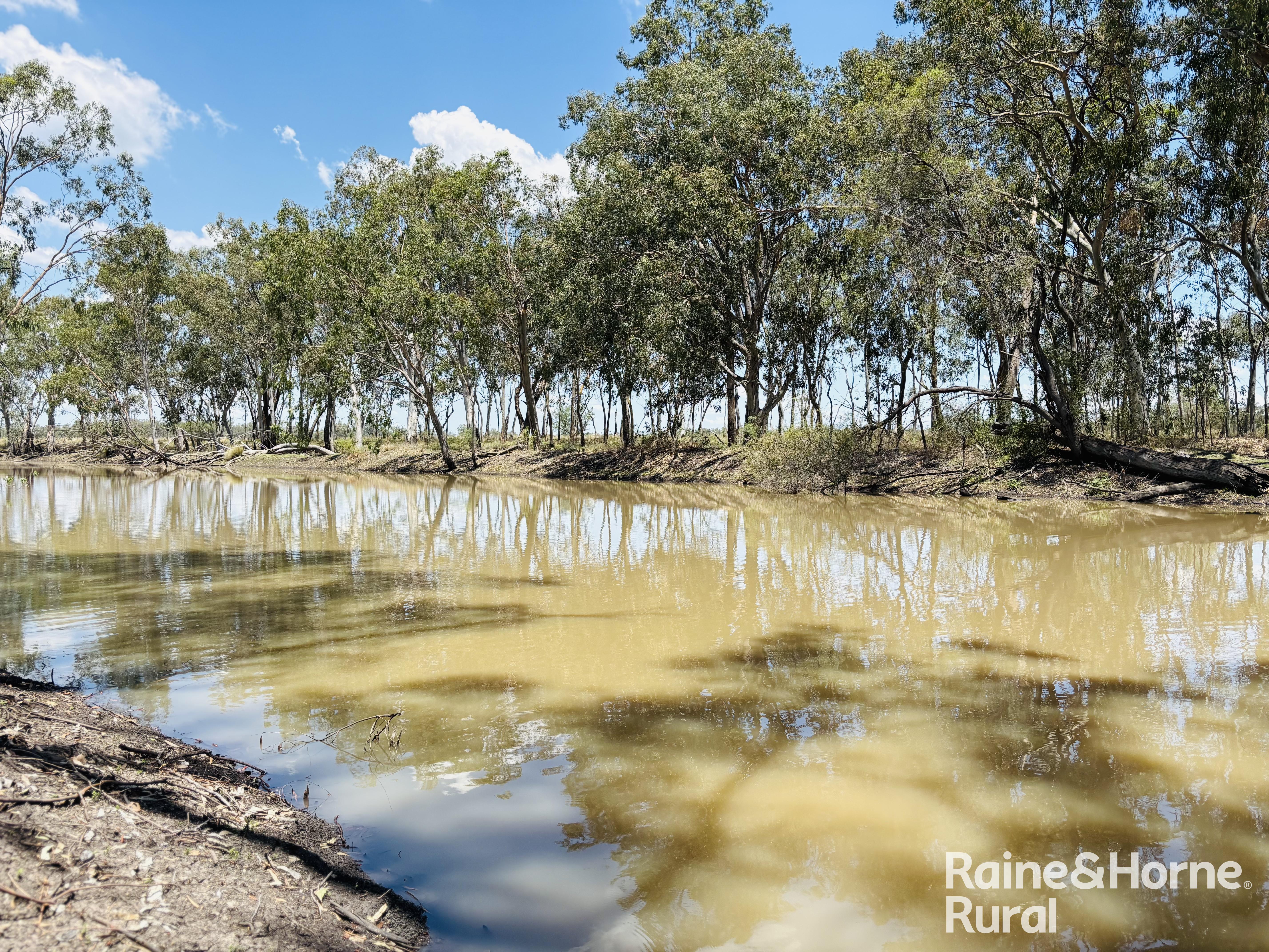 3520 Orallo Road, Roma For Sale by Farmbuy.com - image 9