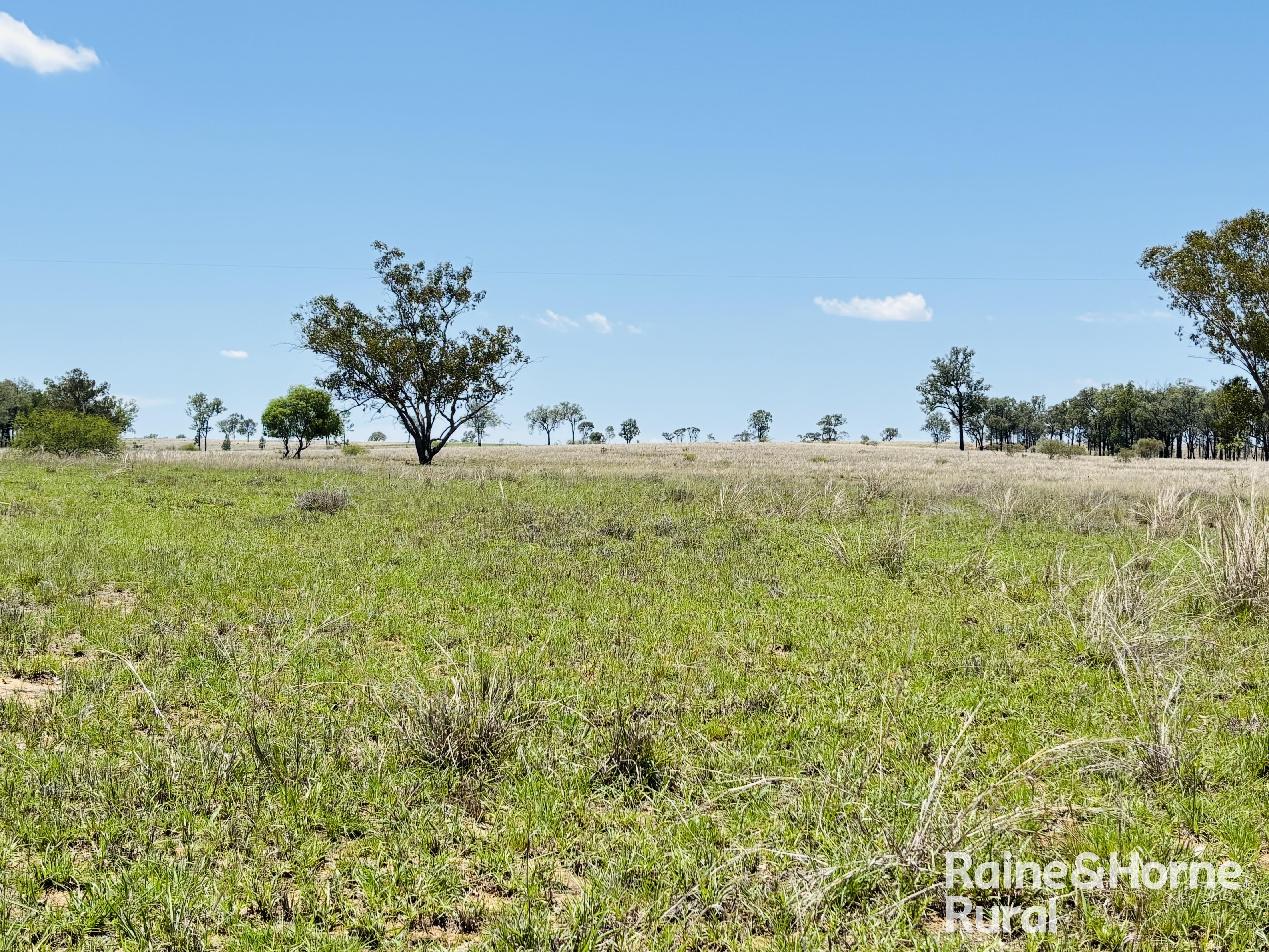 3520 Orallo Road, Roma For Sale by Farmbuy.com - image 10