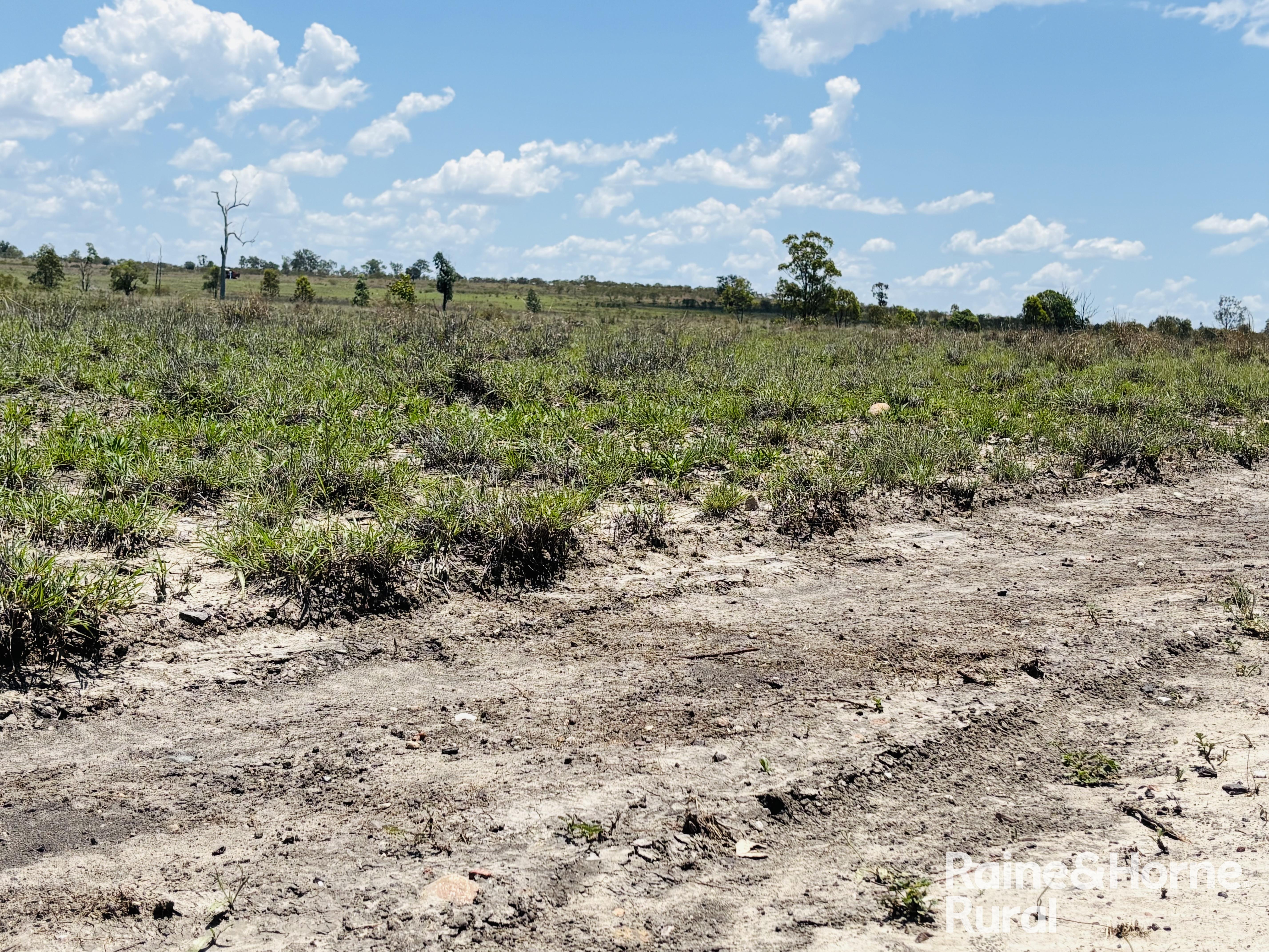 3520 Orallo Road, Roma For Sale by Farmbuy.com - image 11