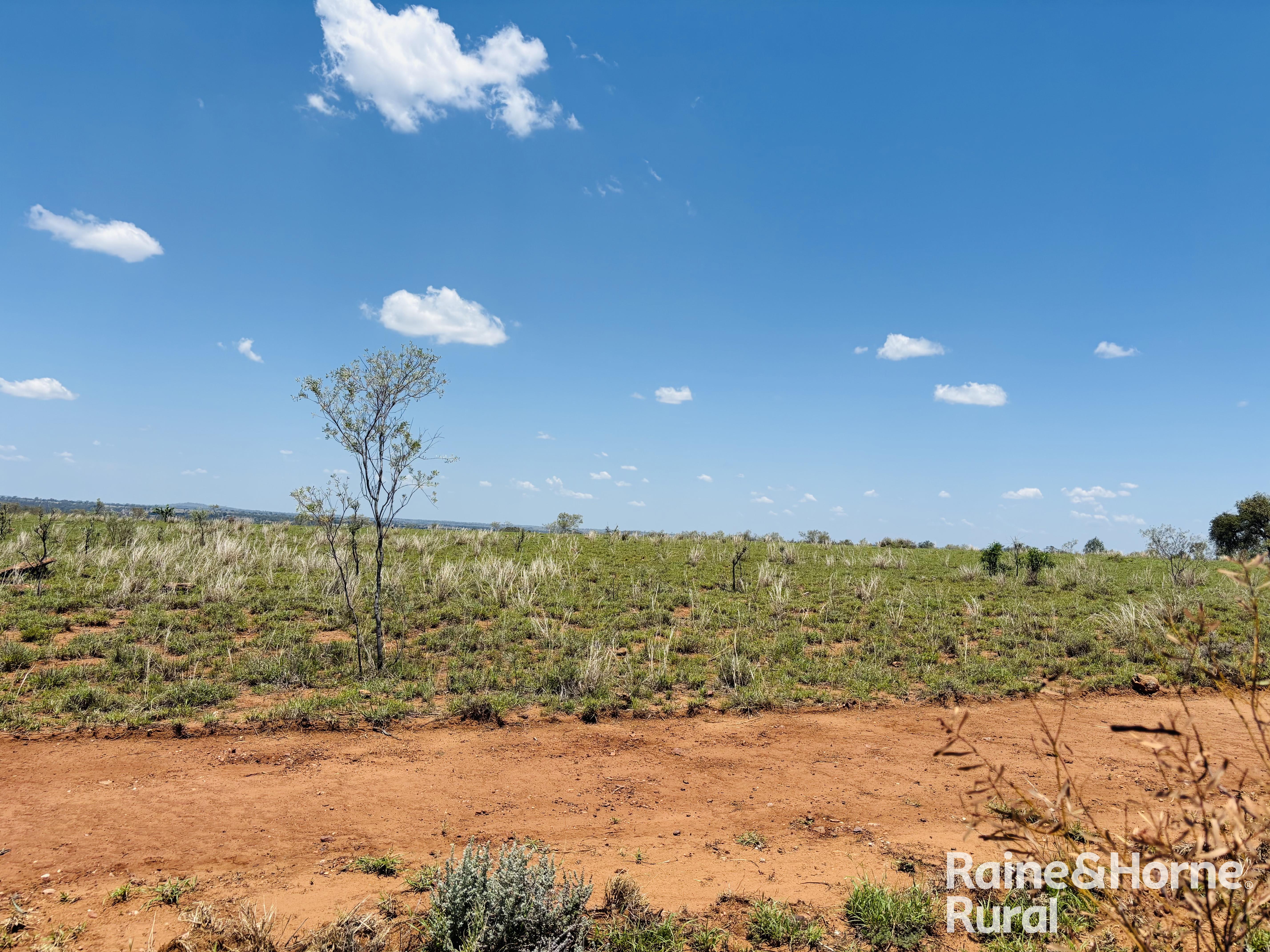 3520 Orallo Road, Roma For Sale by Farmbuy.com - image 13