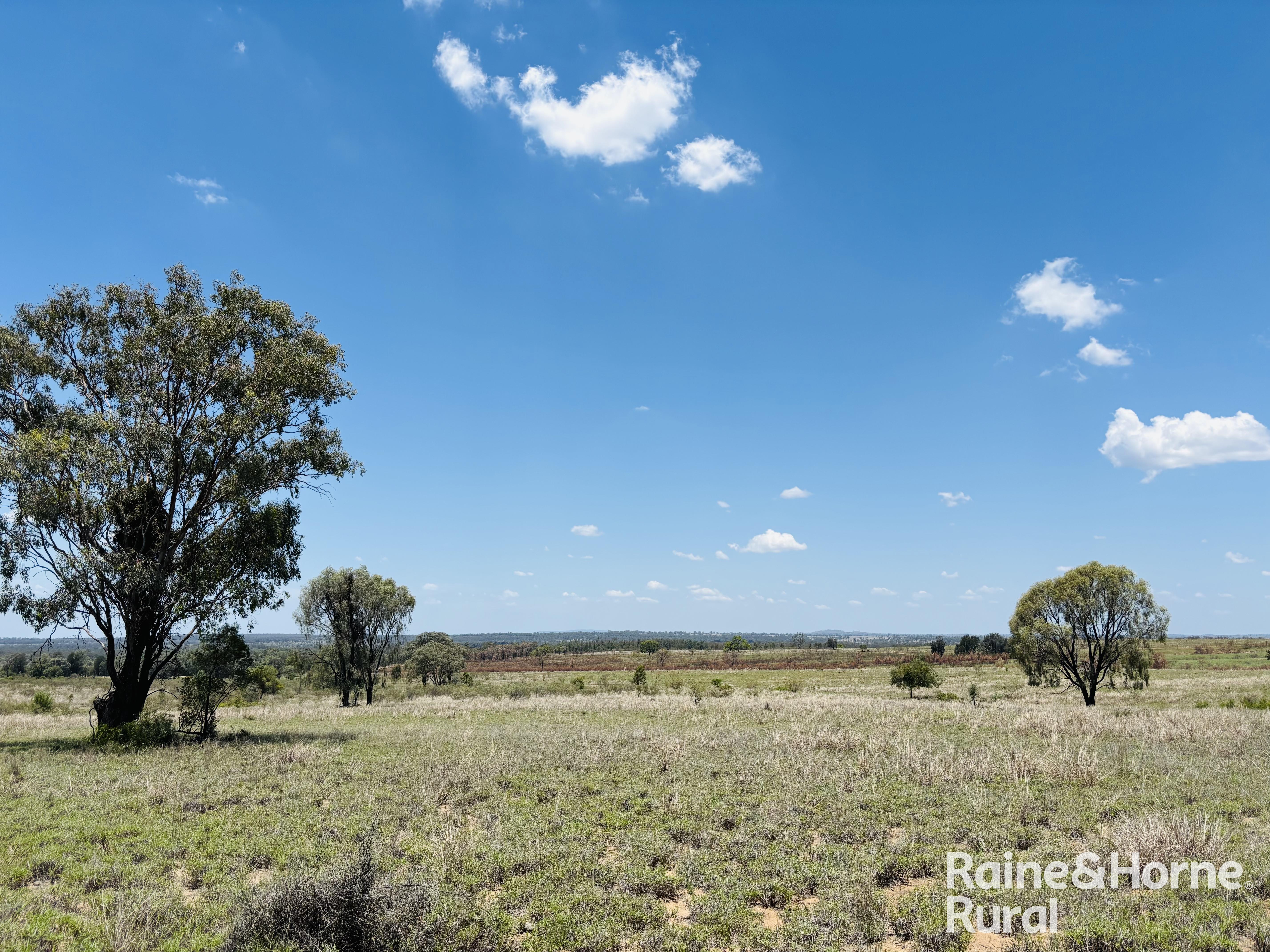 3520 Orallo Road, Roma For Sale by Farmbuy.com - image 15