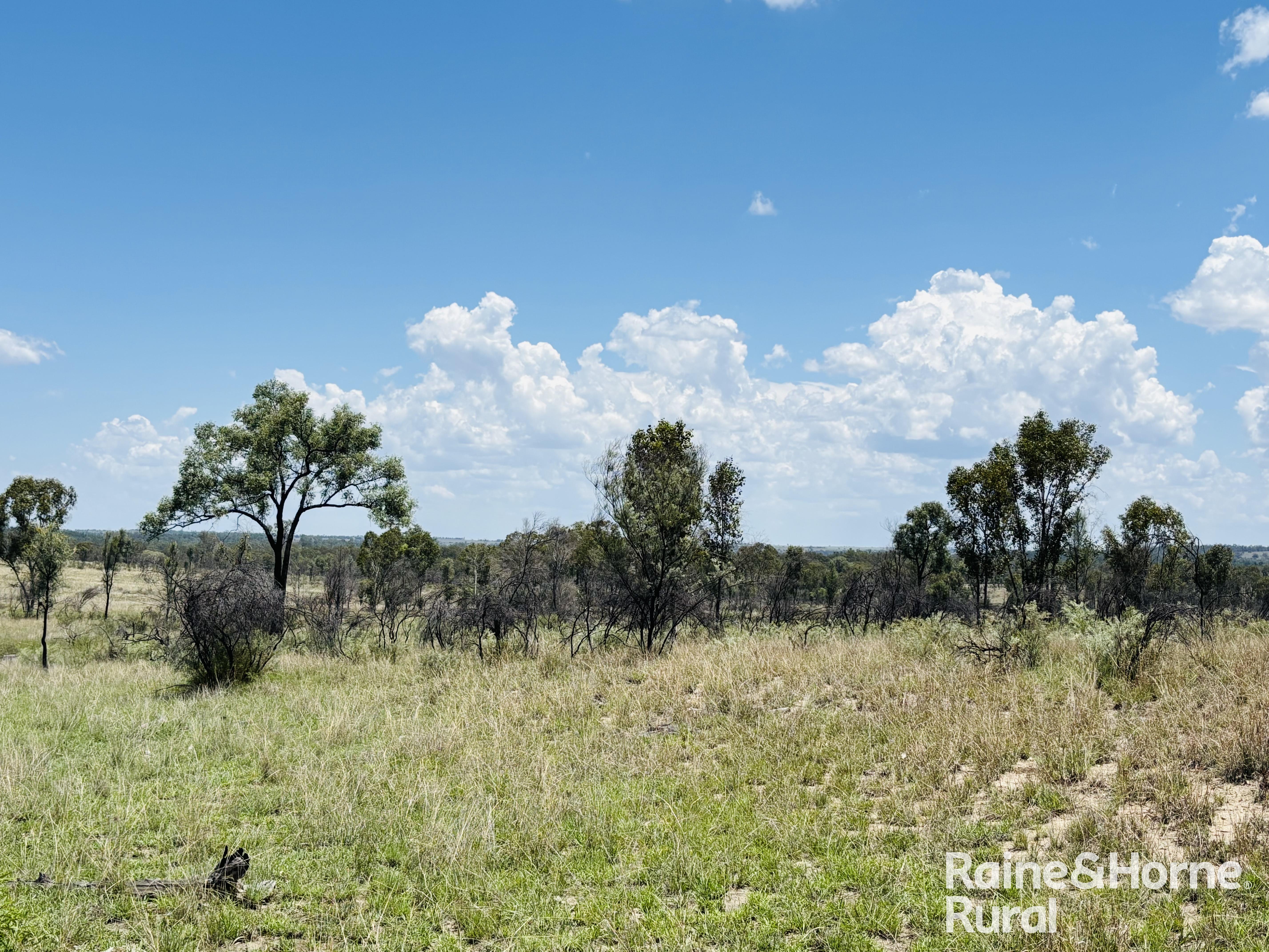 3520 Orallo Road, Roma For Sale by Farmbuy.com - image 16