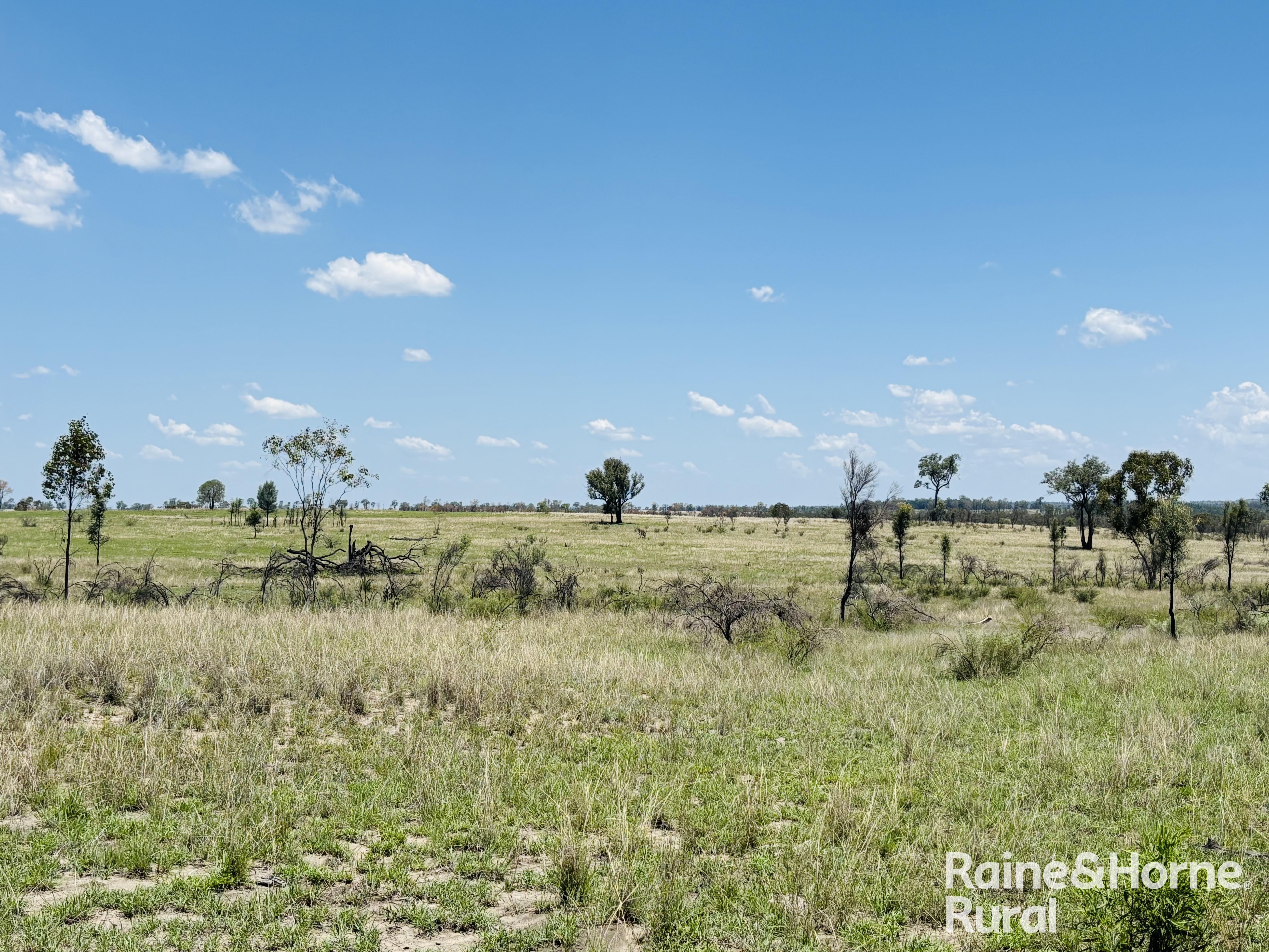 3520 Orallo Road, Roma For Sale by Farmbuy.com - image 17