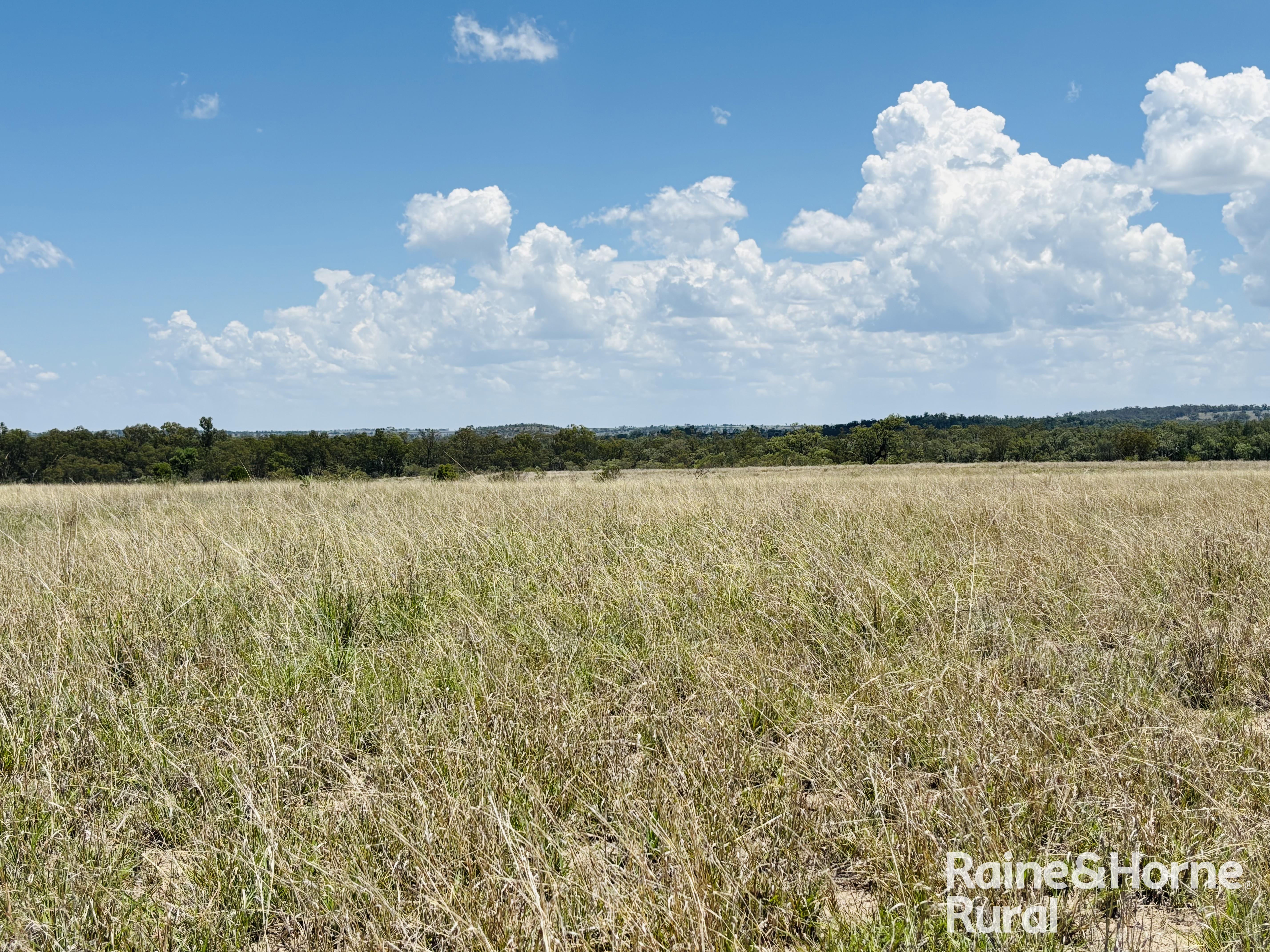 3520 Orallo Road, Roma For Sale by Farmbuy.com - image 18