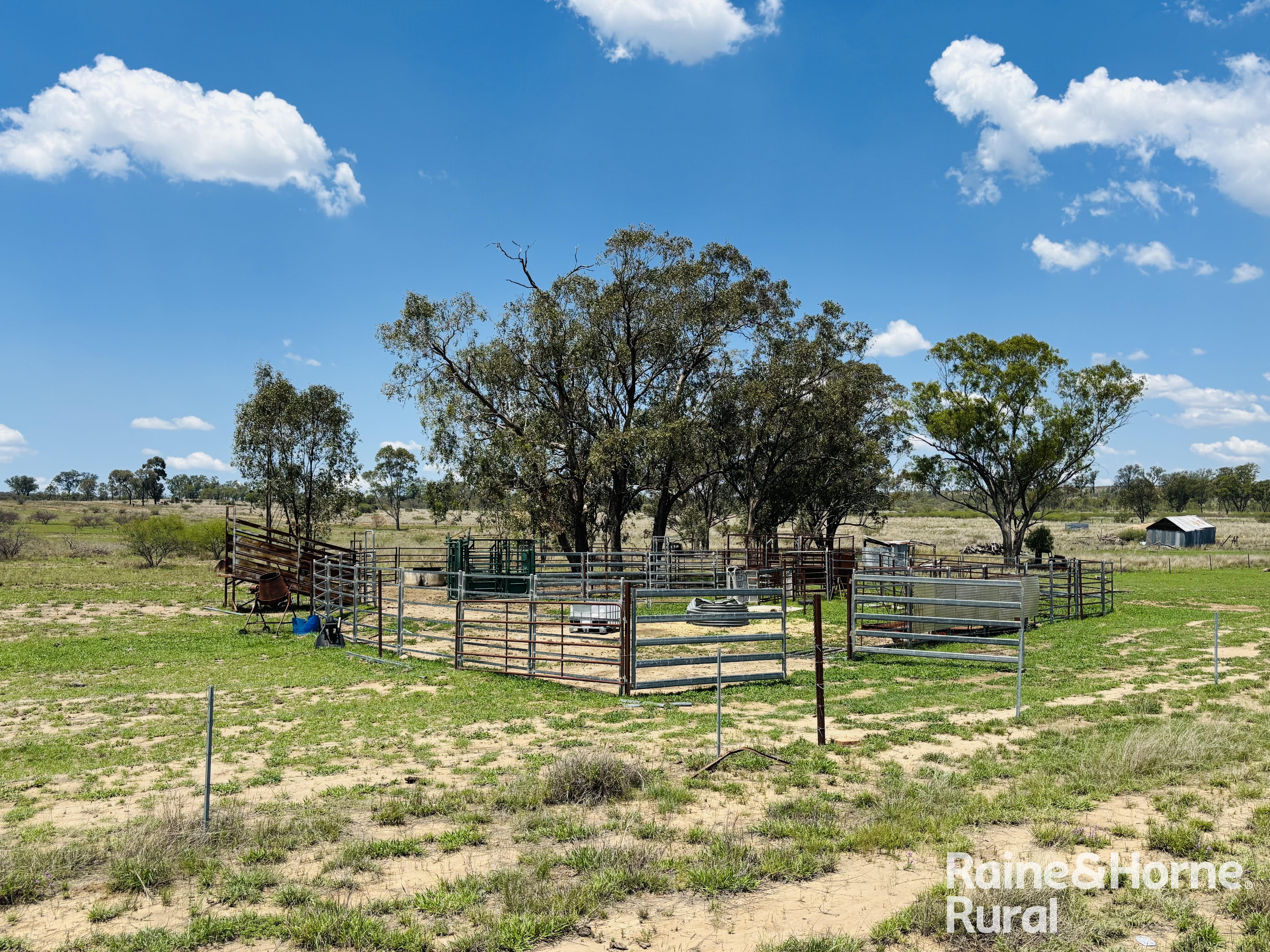 3520 Orallo Road, Roma For Sale by Farmbuy.com - image 19