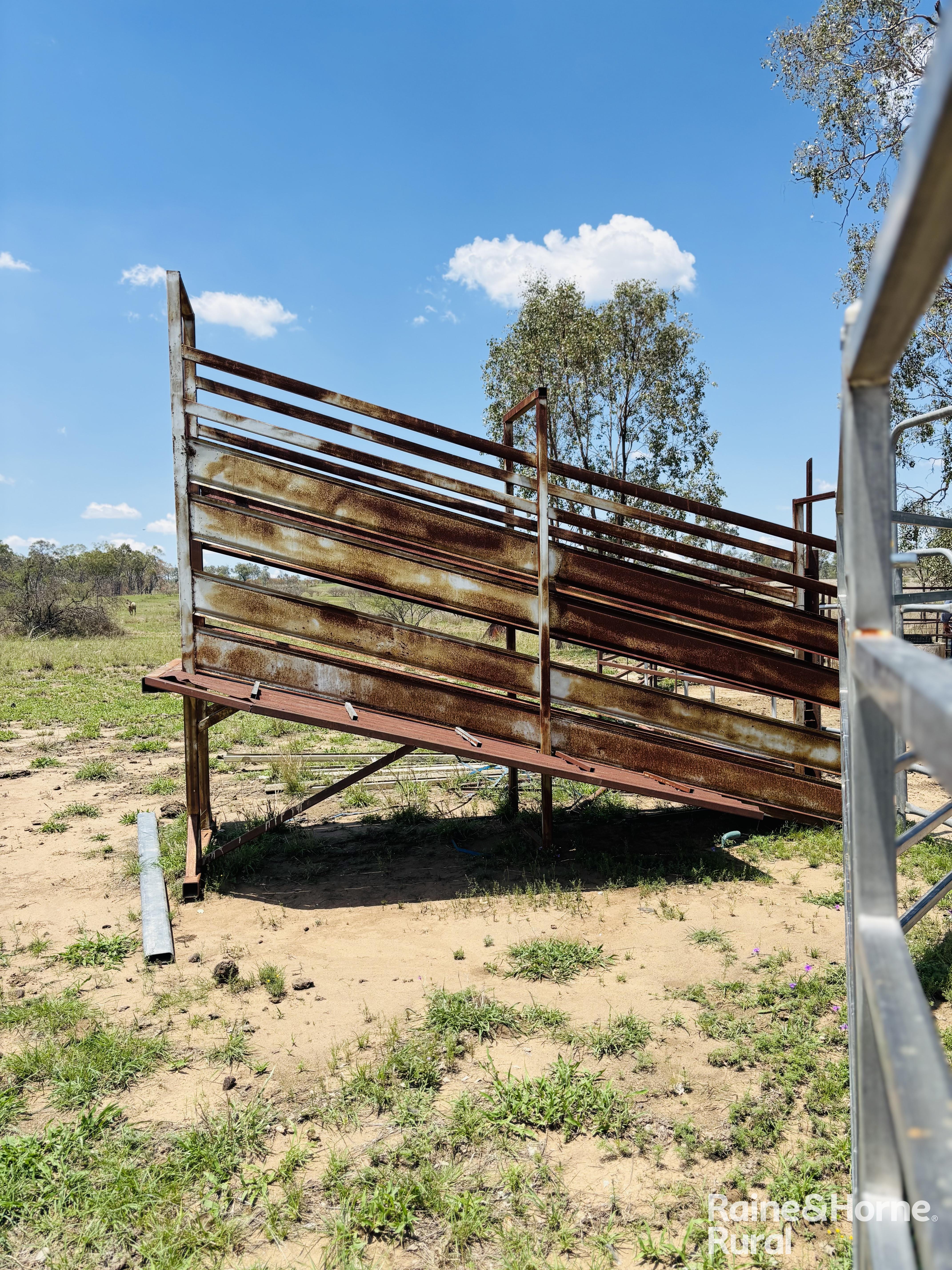 3520 Orallo Road, Roma For Sale by Farmbuy.com - image 20