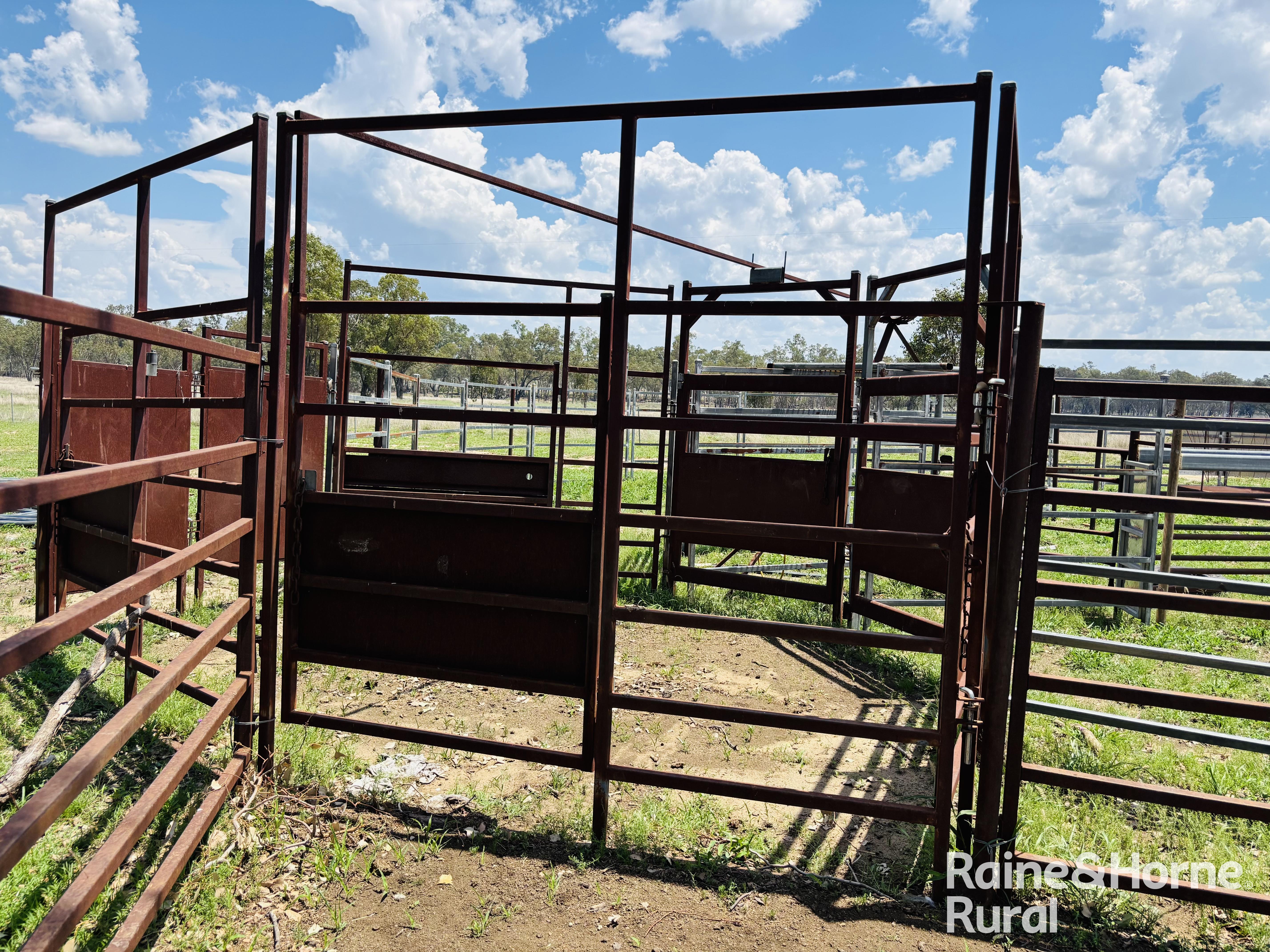 3520 Orallo Road, Roma For Sale by Farmbuy.com - image 22