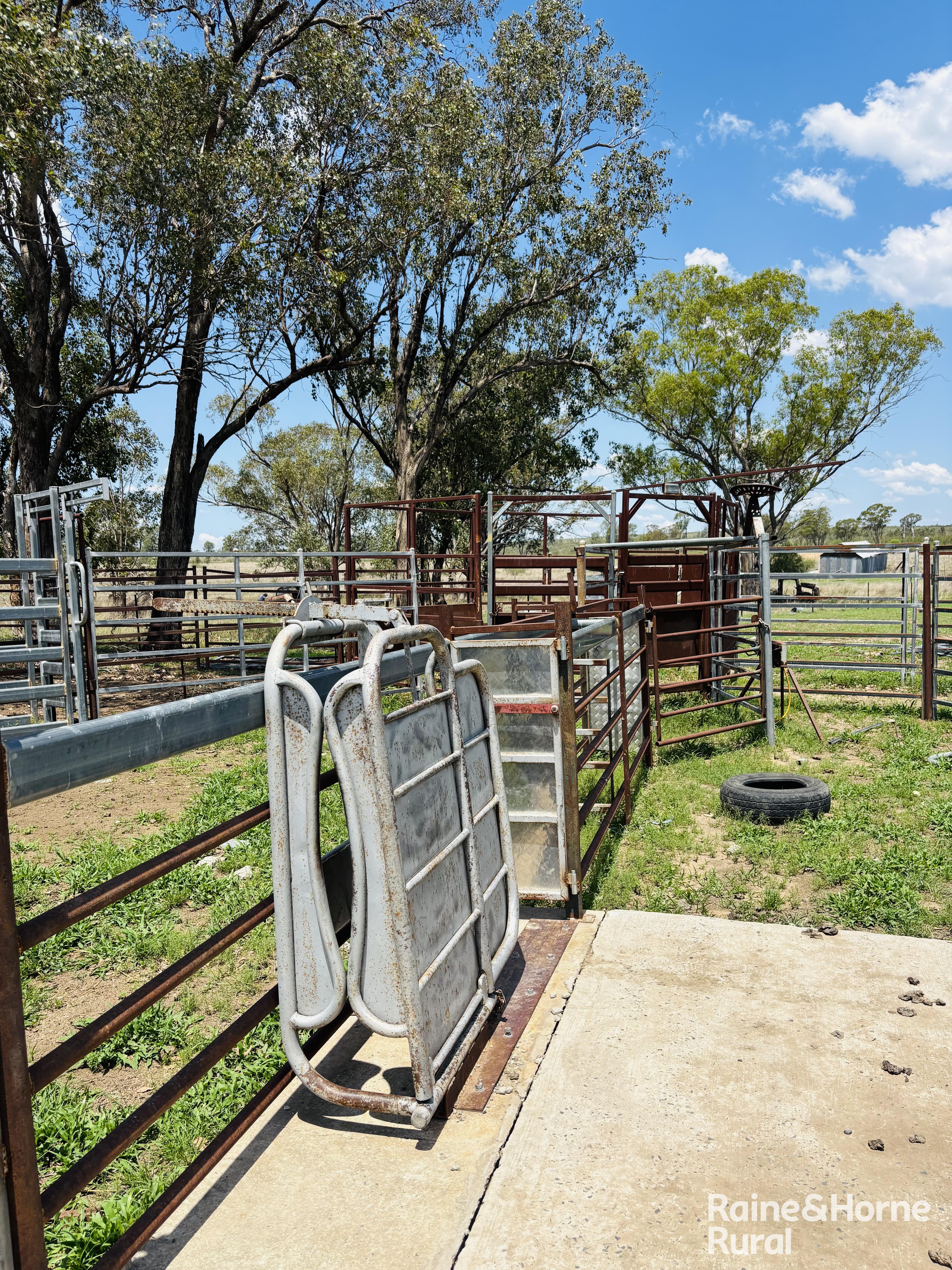 3520 Orallo Road, Roma For Sale by Farmbuy.com - image 23