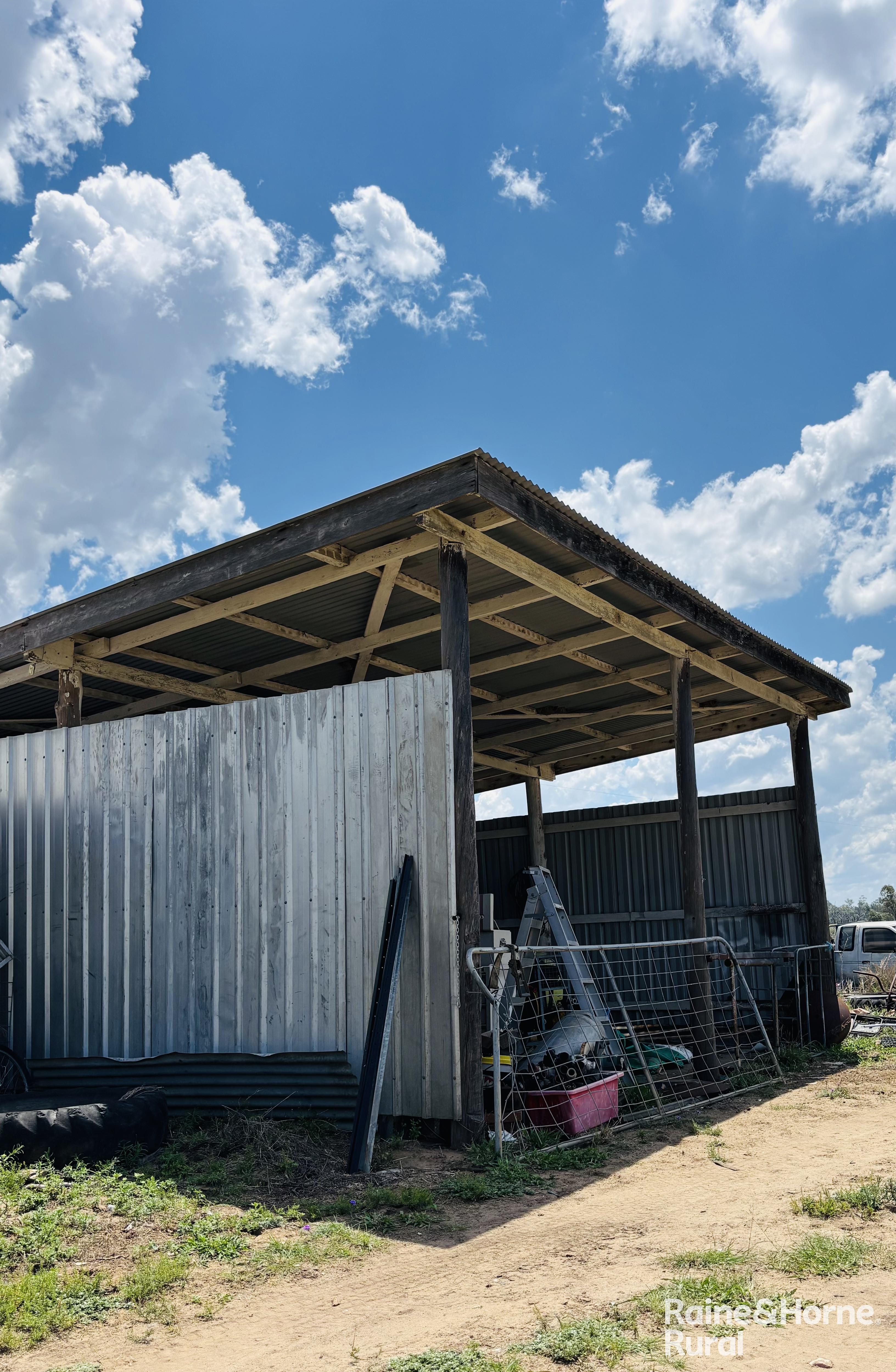 3520 Orallo Road, Roma For Sale by Farmbuy.com - image 24