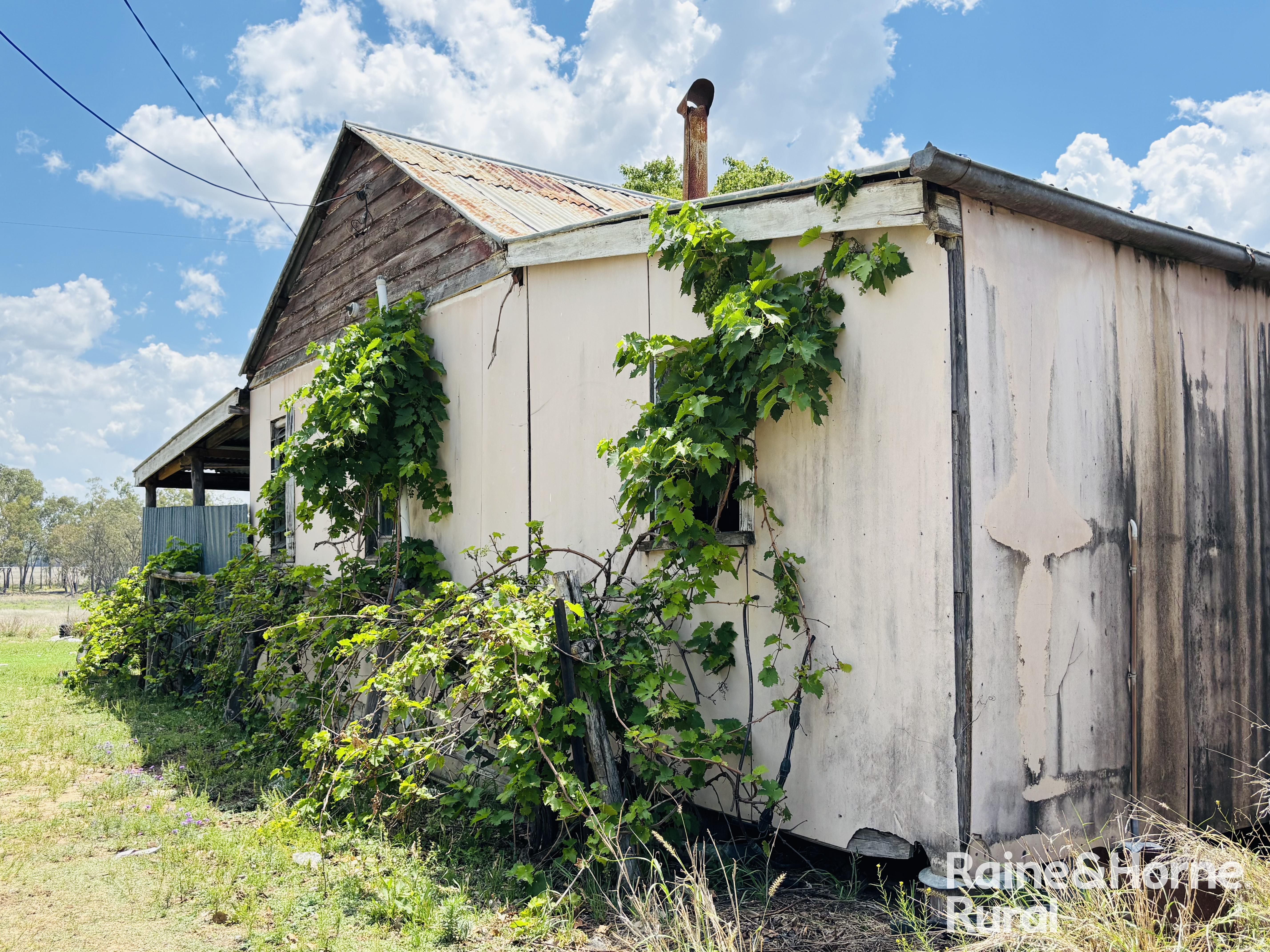 3520 Orallo Road, Roma For Sale by Farmbuy.com - image 25