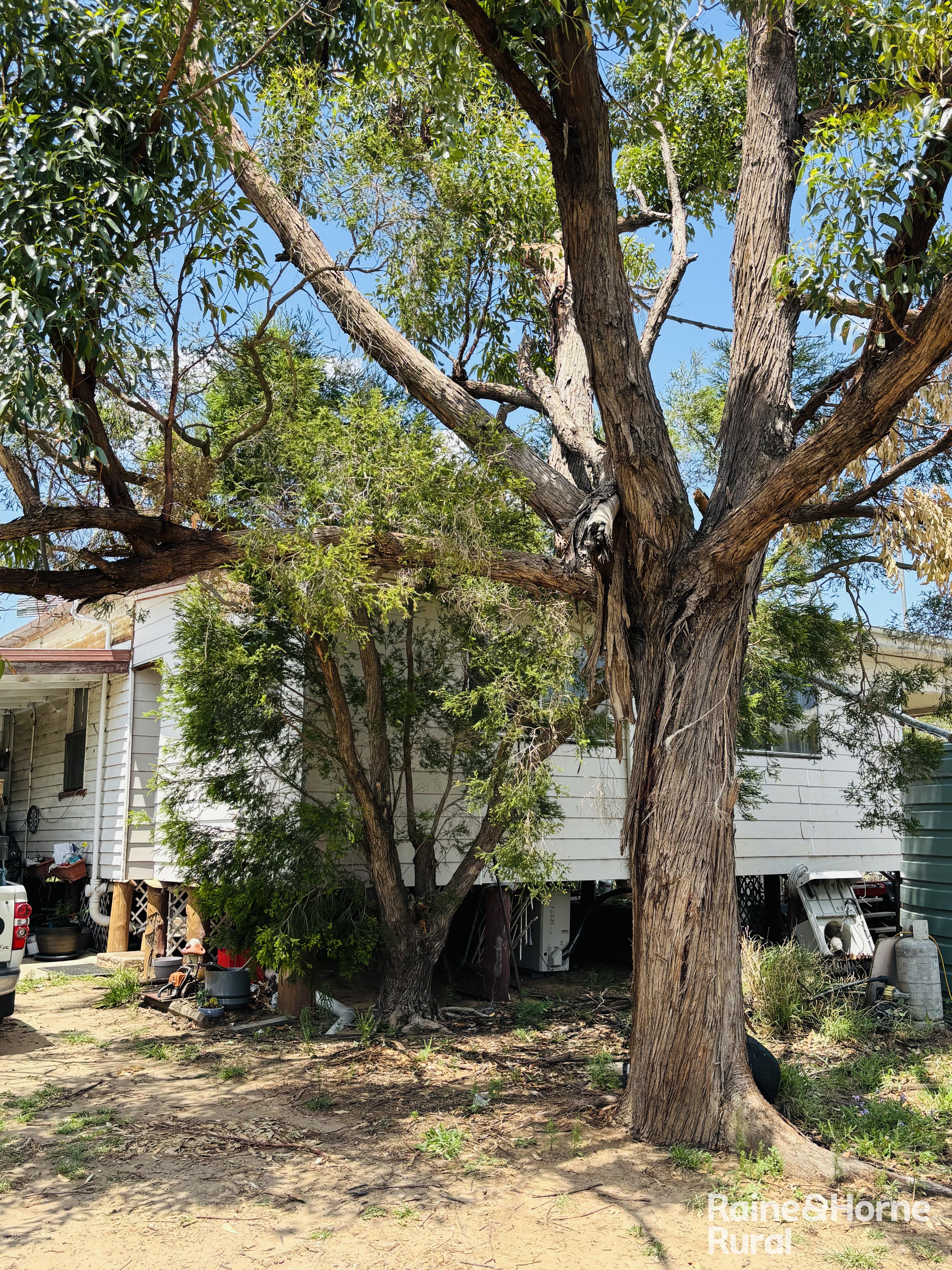 3520 Orallo Road, Roma For Sale by Farmbuy.com - image 26