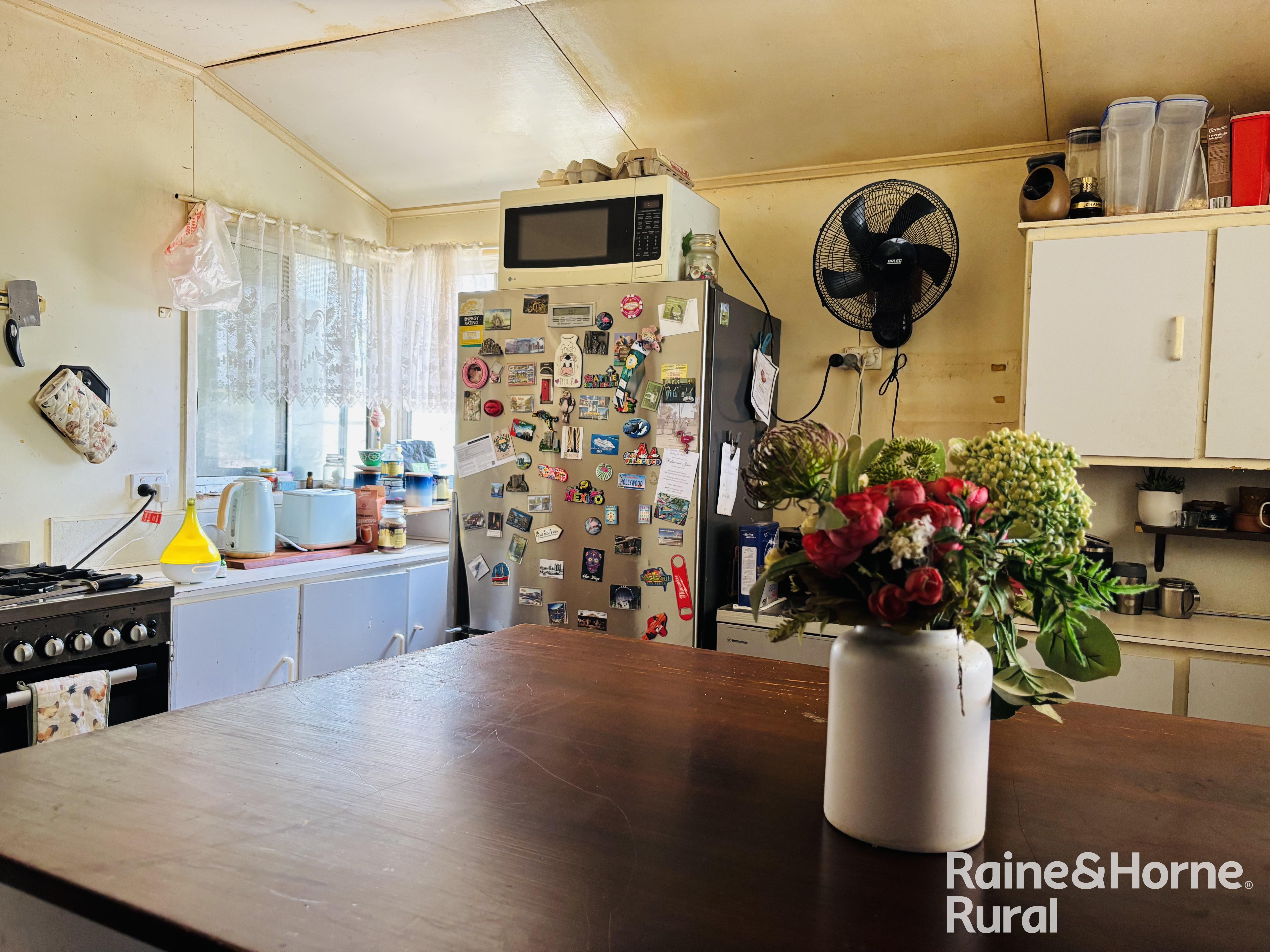 3520 Orallo Road, Roma For Sale by Farmbuy.com - image 29