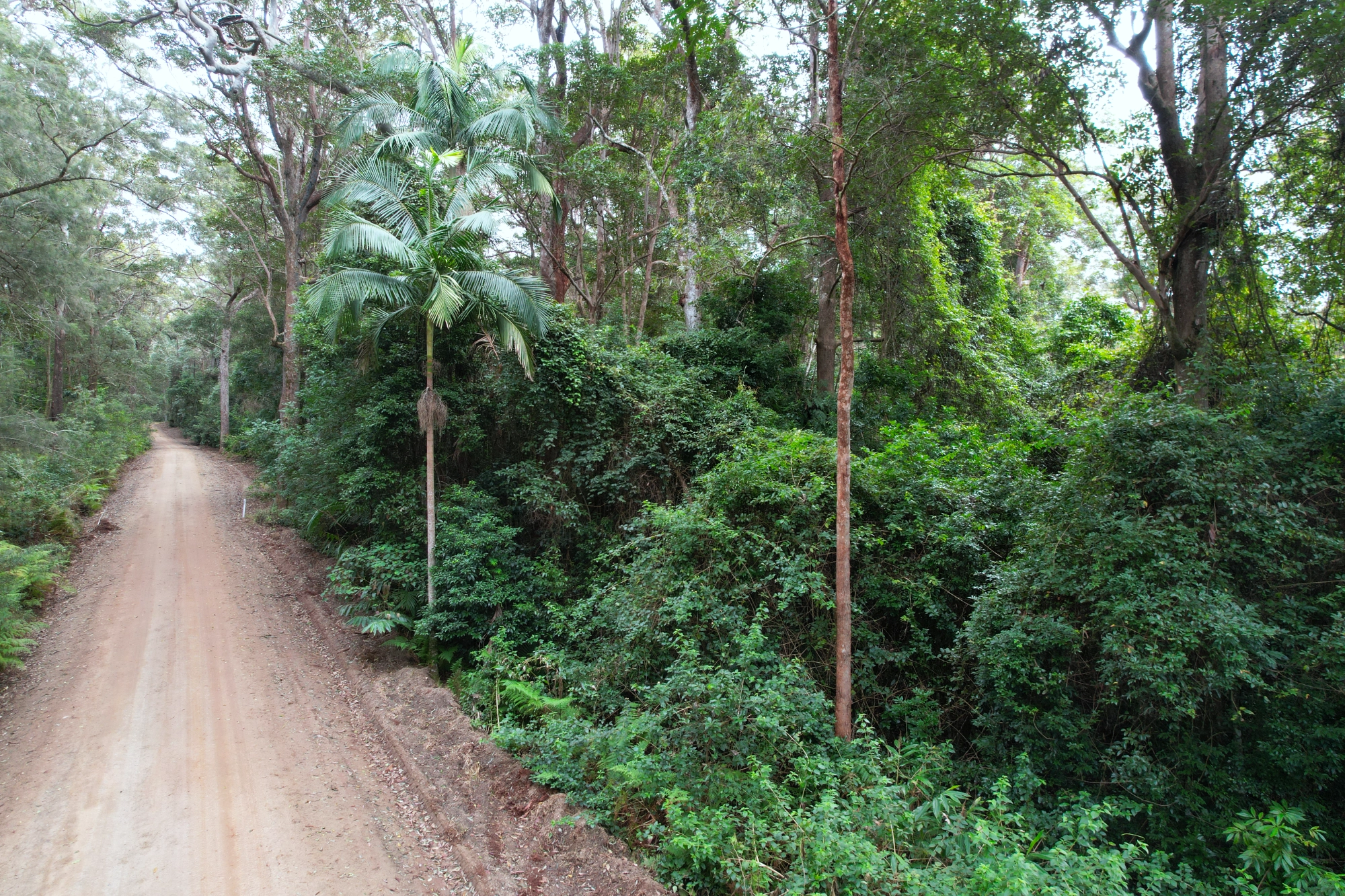 Lot 252 Bellthorpe Road, Conondale QLD 4552