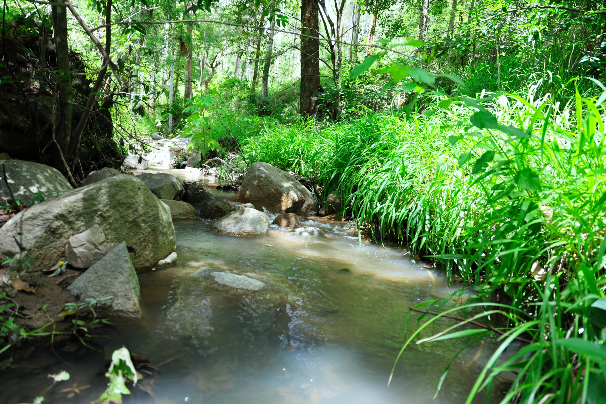 Lot 252 Bellthorpe Road, Conondale Sold by Farmbuy.com - image 4