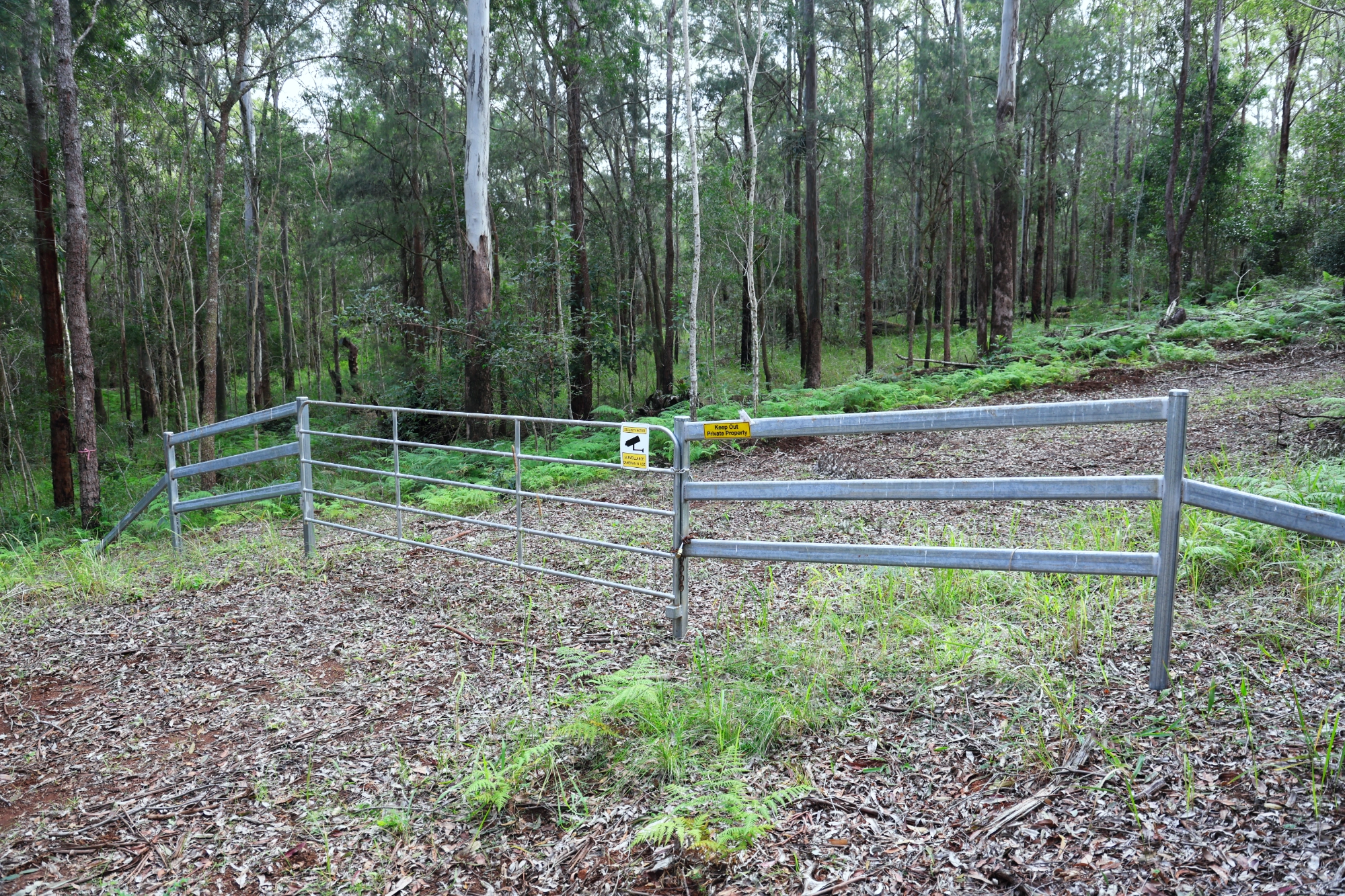 Lot 252 Bellthorpe Road, Conondale Sold by Farmbuy.com - image 7