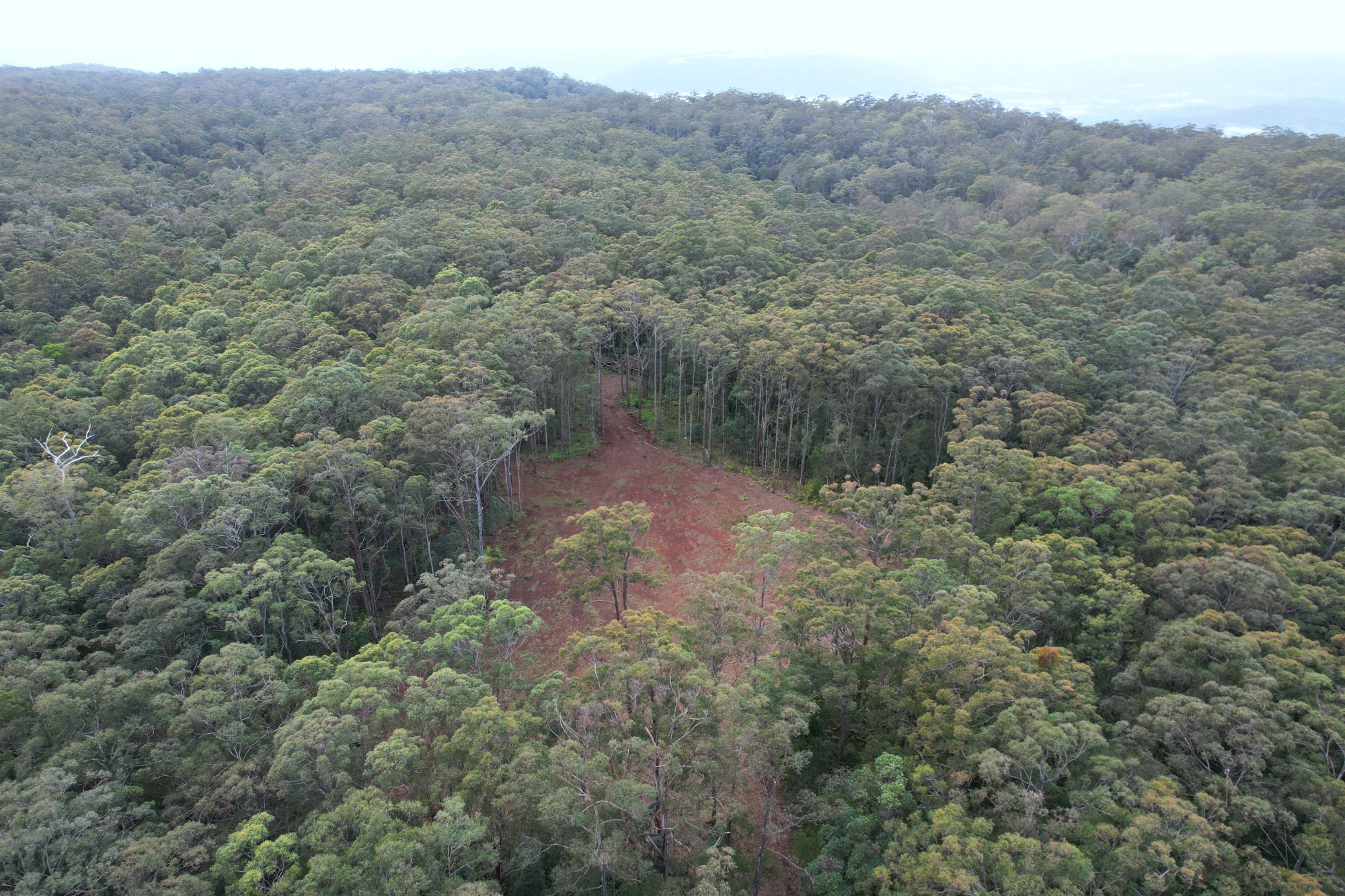 Lot 252 Bellthorpe Road, Conondale Sold by Farmbuy.com - image 10