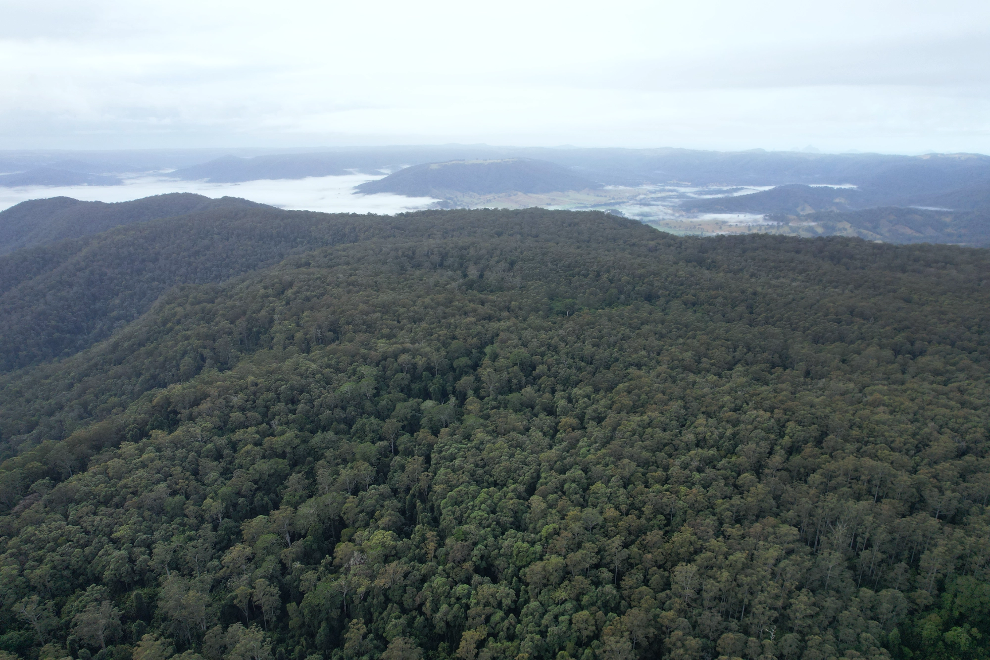 Lot 252 Bellthorpe Road, Conondale Sold by Farmbuy.com - image 16