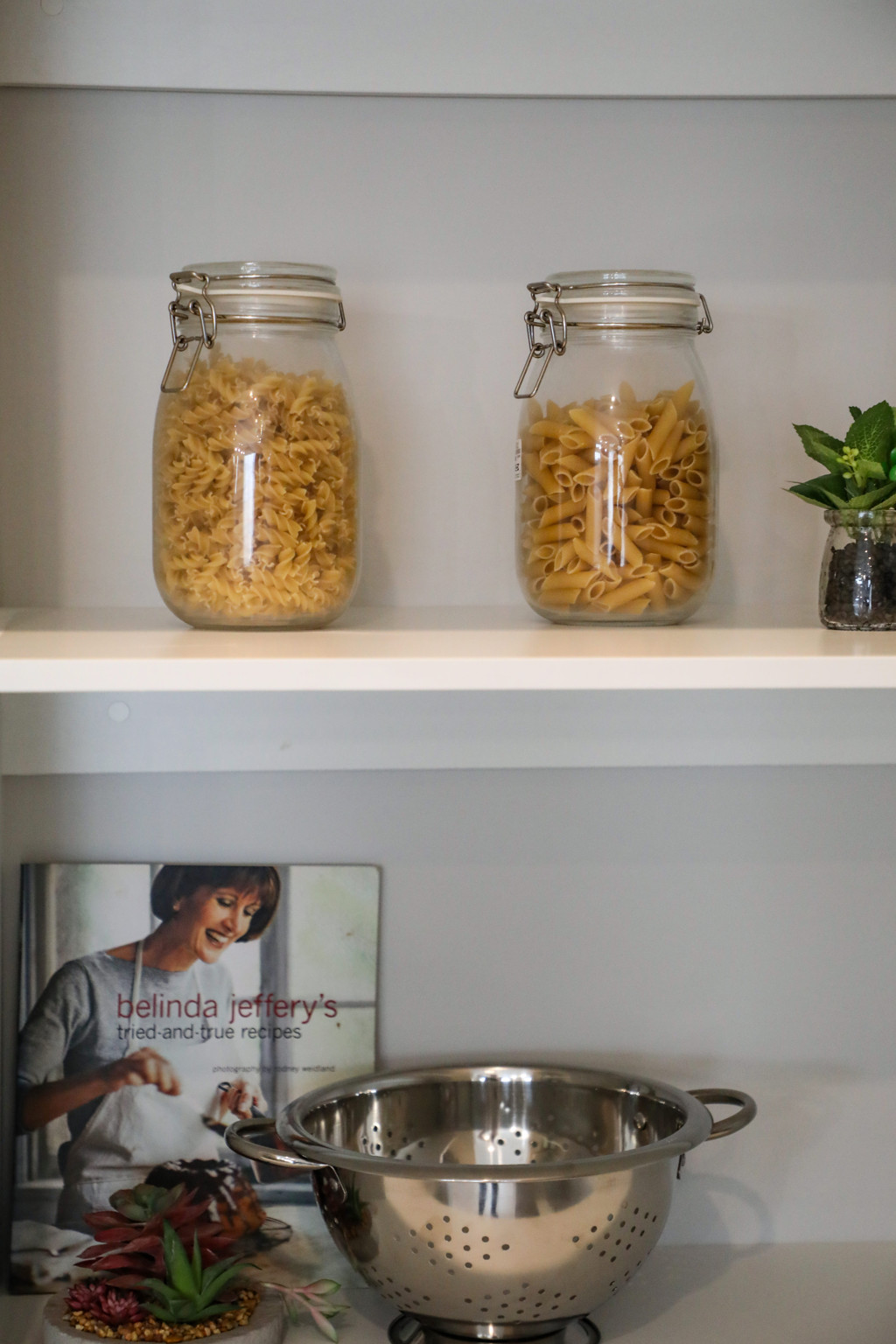 Lot 458 Damselfly Way (Arbor Estate), Officer