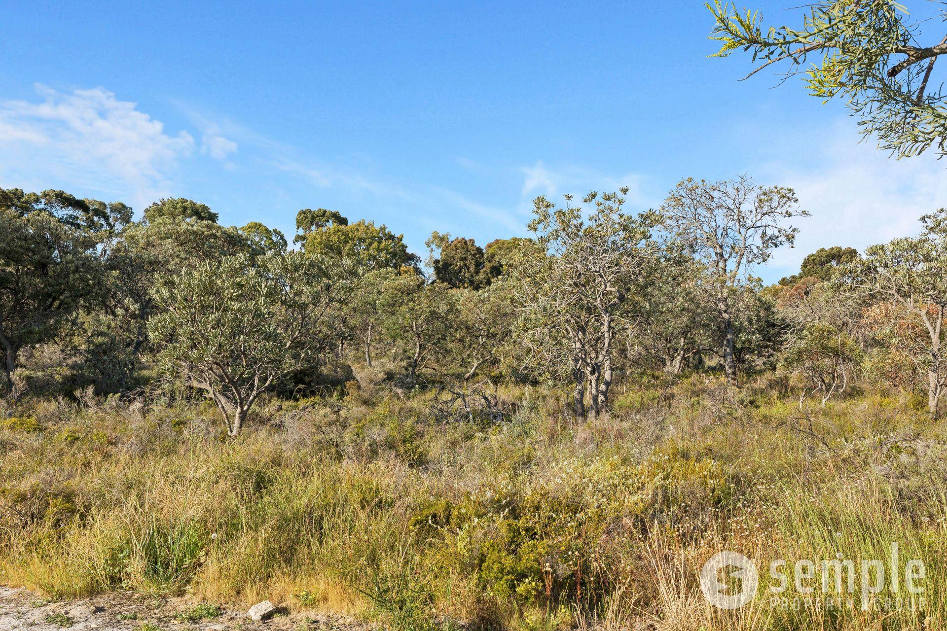 15 Brandwood Gardens, Leeming WA 6149 - 32