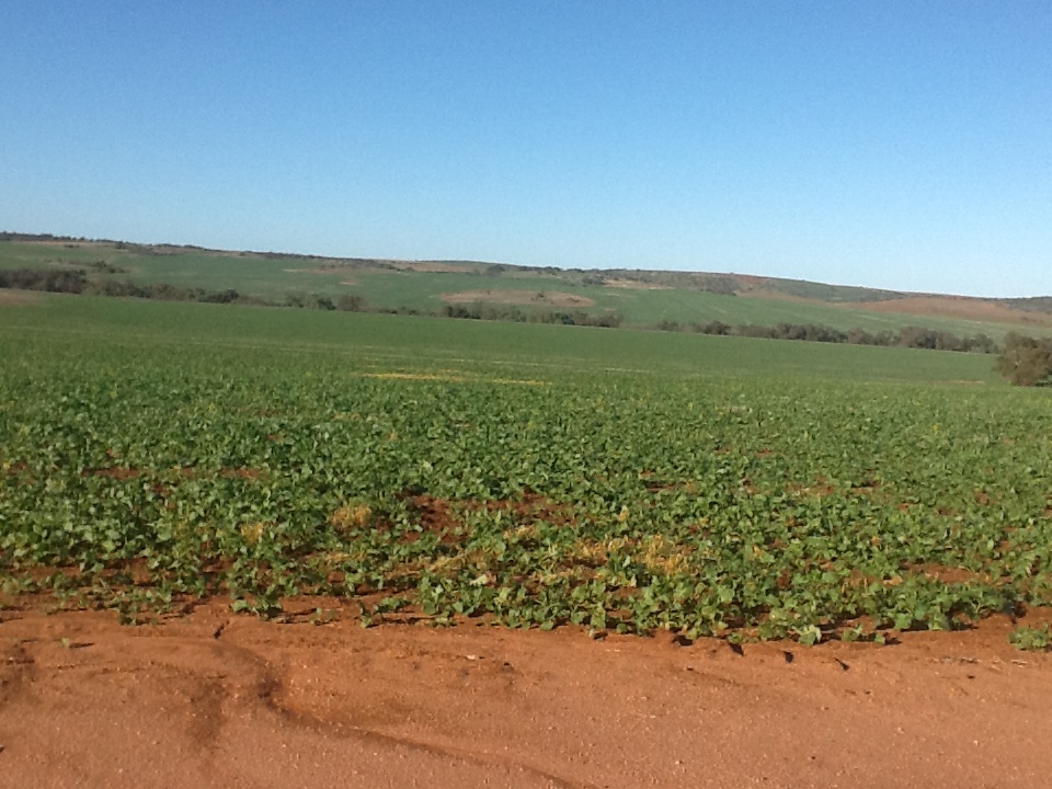 Lot 1148 Horrocks Road Sandy Gully