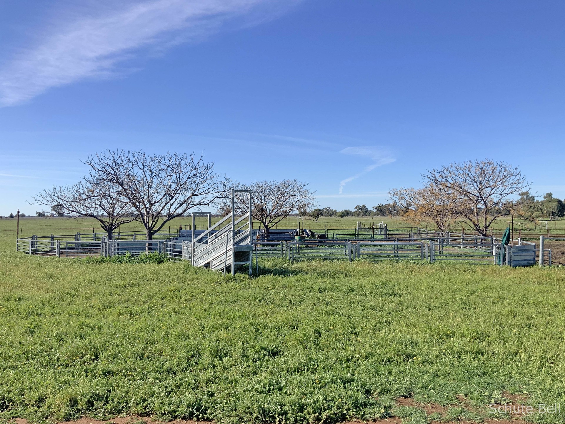3075 Trangie Dandaloo Rd, Dandaloo NSW 2823