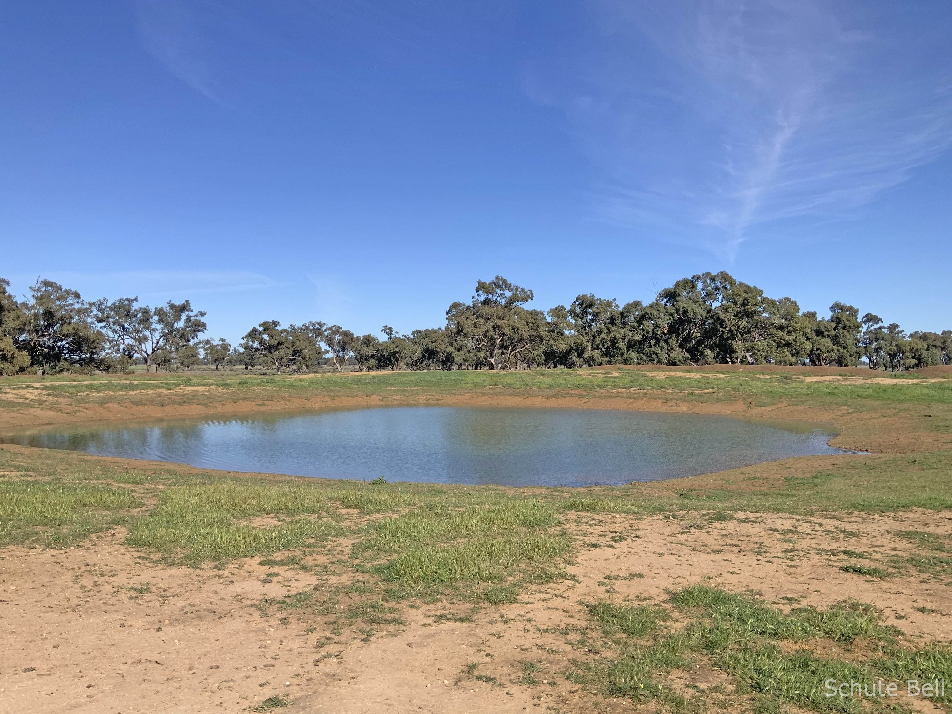 3075 Trangie Dandaloo Rd, Dandaloo For Sale by Farmbuy.com - image 3