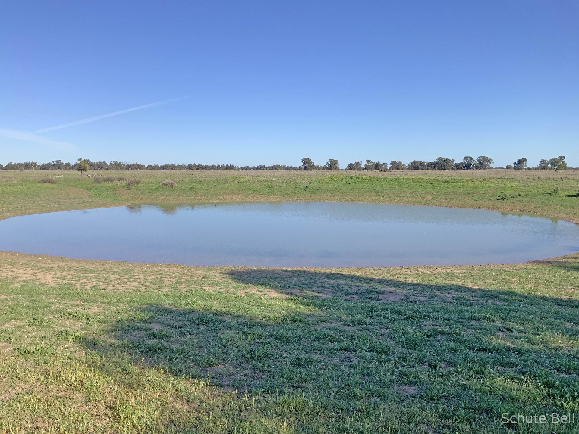 3075 Trangie Dandaloo Rd, Dandaloo For Sale by Farmbuy.com - image 6
