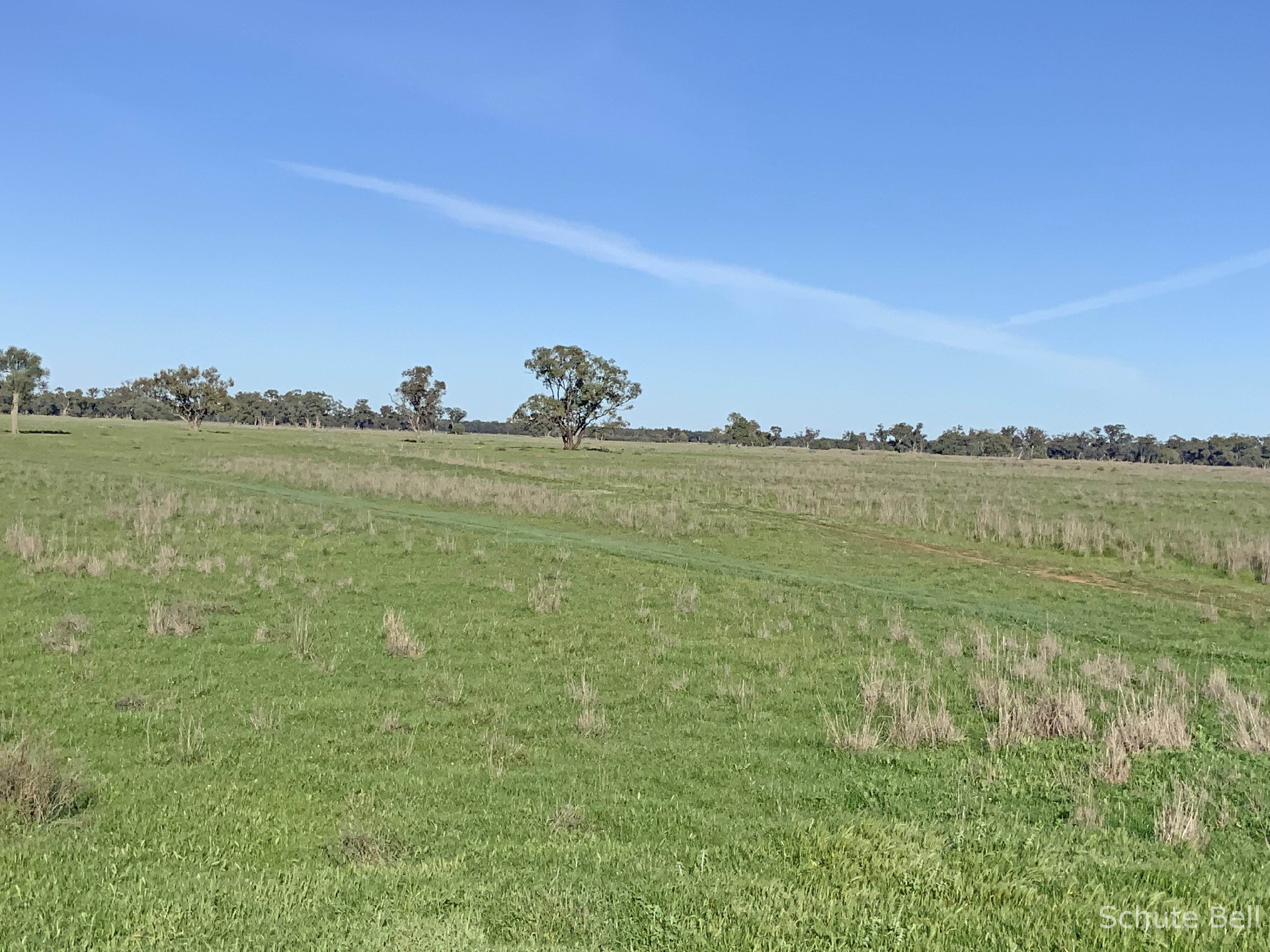 3075 Trangie Dandaloo Rd, Dandaloo For Sale by Farmbuy.com - image 7