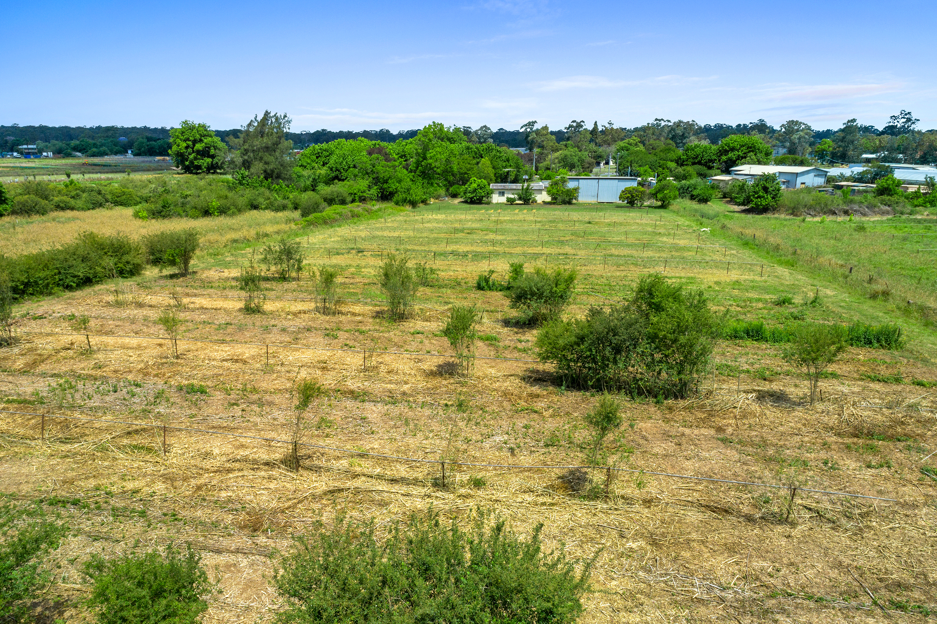 165 South Creek Road, Shanes Park For Sale by Cutcliffe Properties - image 9
