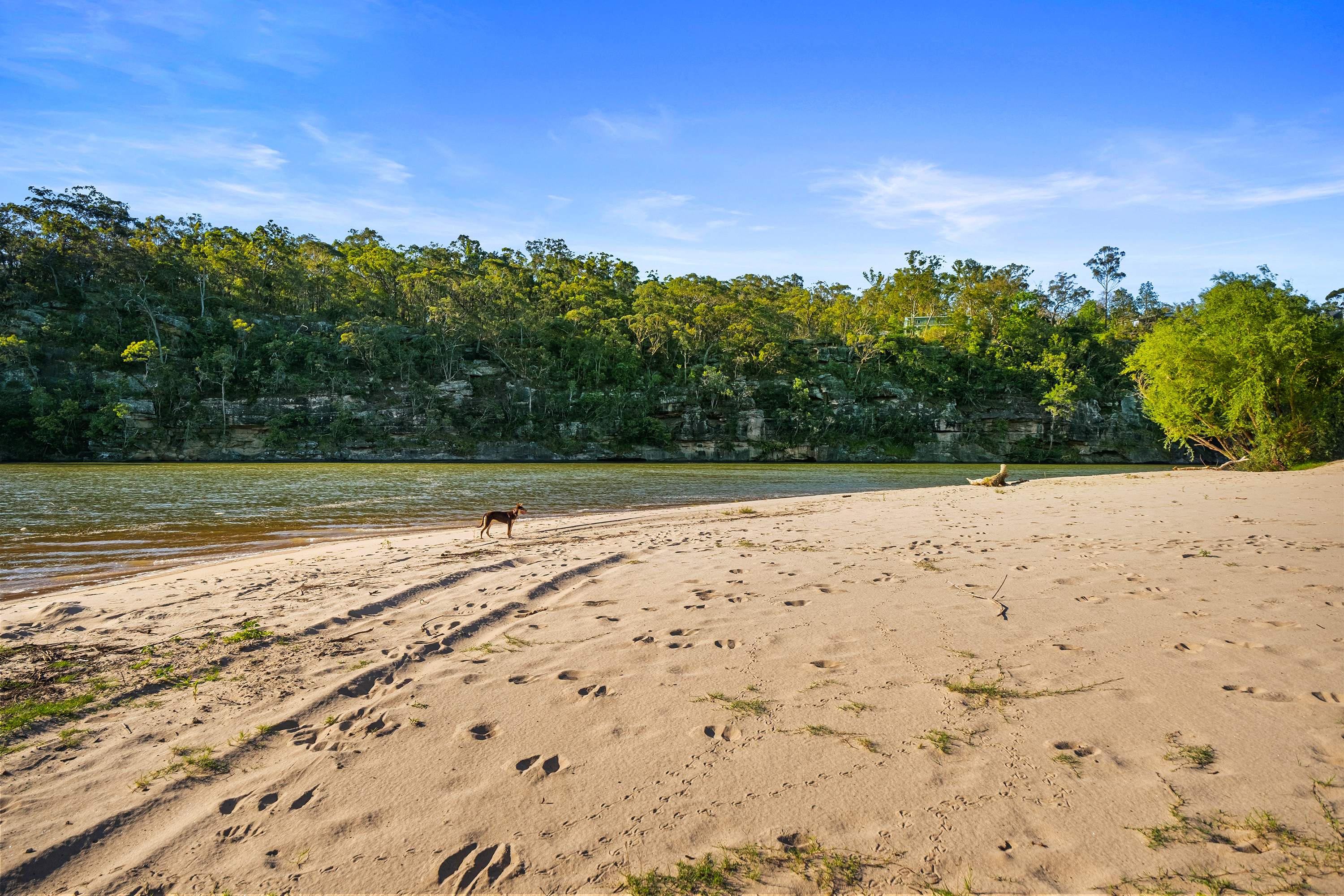 270 O'Briens Road, Cattai Sold by Cutcliffe Properties - image 31